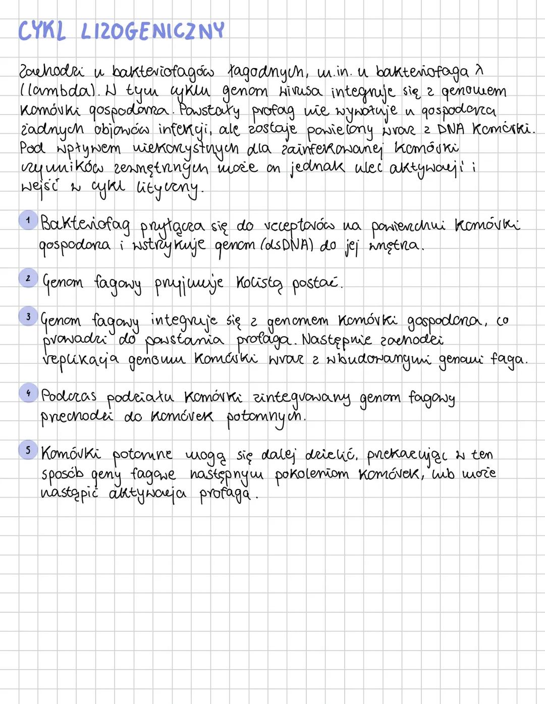 HIRUSY
Wirusy - molekularne pasożyty
Są one zbudowane z białka i kwasu nukleinowego oraz
osiągają od kilku do kilkuset nanometrów.
Należą do