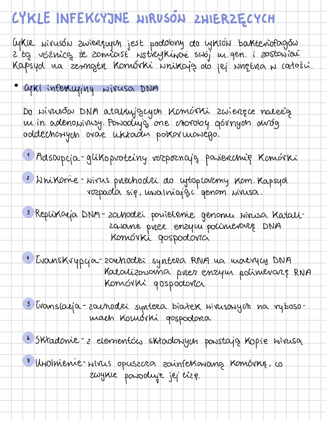 HIRUSY
Wirusy - molekularne pasożyty
Są one zbudowane z białka i kwasu nukleinowego oraz
osiągają od kilku do kilkuset nanometrów.
Należą do
