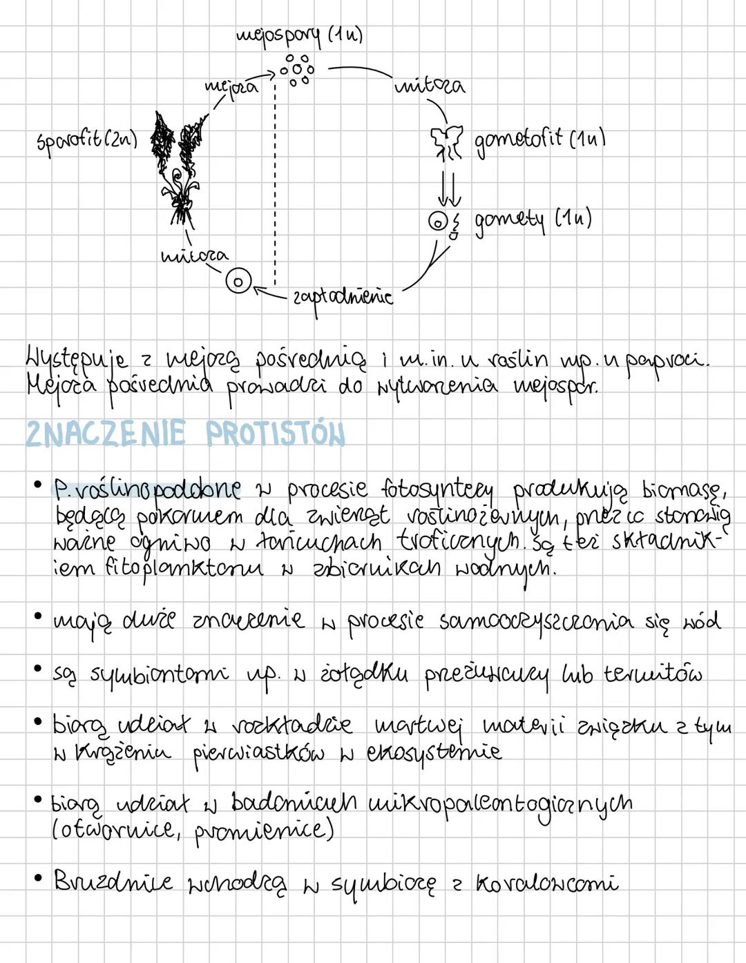 PROTISTY
proste organizmy eukariotyczne
Protisty to grupa systematyczna o niejednolitym
charaktere i pochodzeniu. Są grupą parafiletyczną,
p