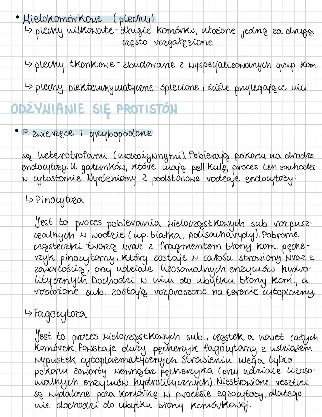 PROTISTY
proste organizmy eukariotyczne
Protisty to grupa systematyczna o niejednolitym
charaktere i pochodzeniu. Są grupą parafiletyczną,
p