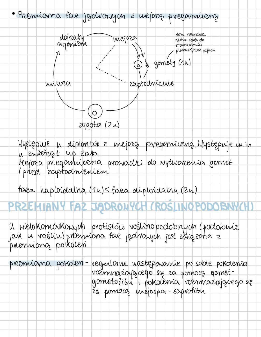 PROTISTY
proste organizmy eukariotyczne
Protisty to grupa systematyczna o niejednolitym
charaktere i pochodzeniu. Są grupą parafiletyczną,
p