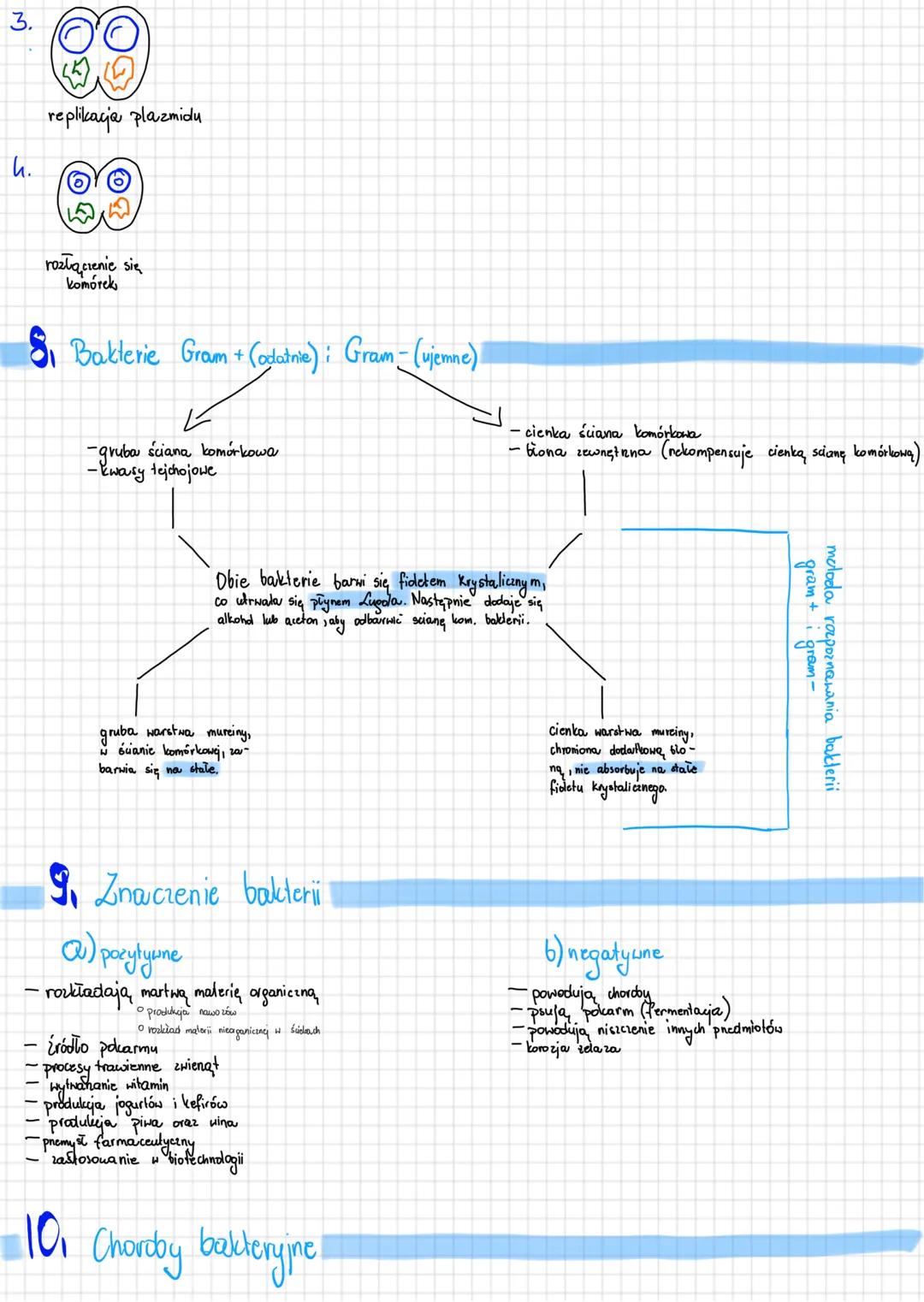2. Róinorodność
organizmów
BAKTERIE
1. Budowa ogólna bakterii
organizmy prokariotycine
(bez jadra komórkowego
błona komórkowa
tylakoidy
+
-