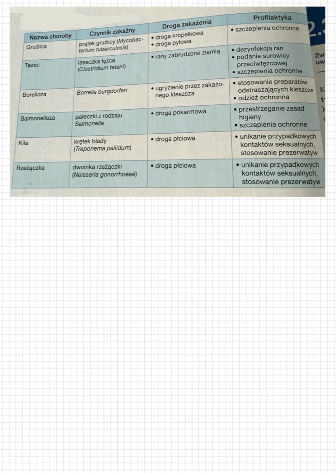 2. Róinorodność
organizmów
BAKTERIE
1. Budowa ogólna bakterii
organizmy prokariotycine
(bez jadra komórkowego
błona komórkowa
tylakoidy
+
-