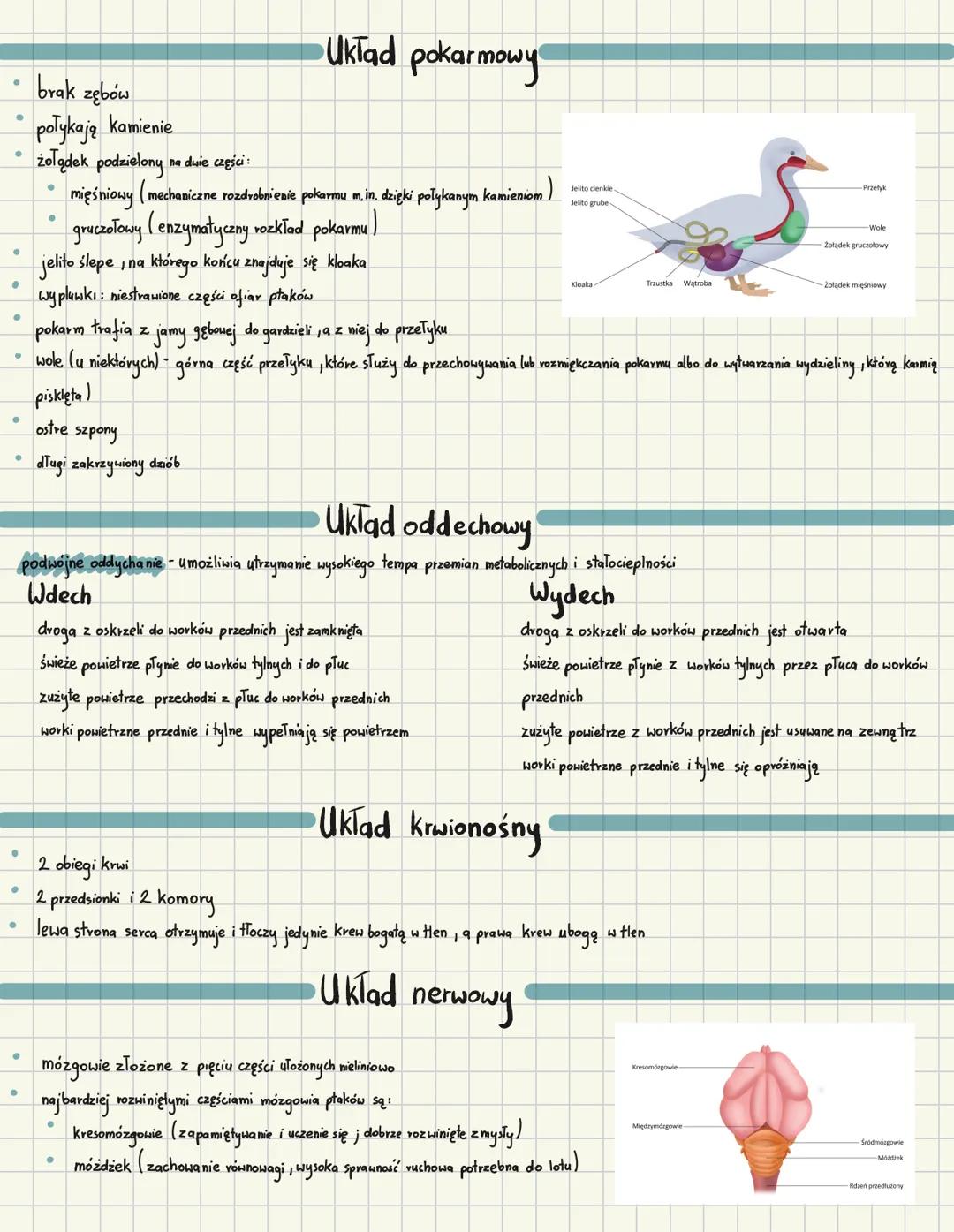 # Ptaki
## Cechy charakterystyczne
- owodniowce
- pierwotnie lądowe
- stałocieplne
- skóra pokryta piórami
- jajowodne
## Pokrycie ciała