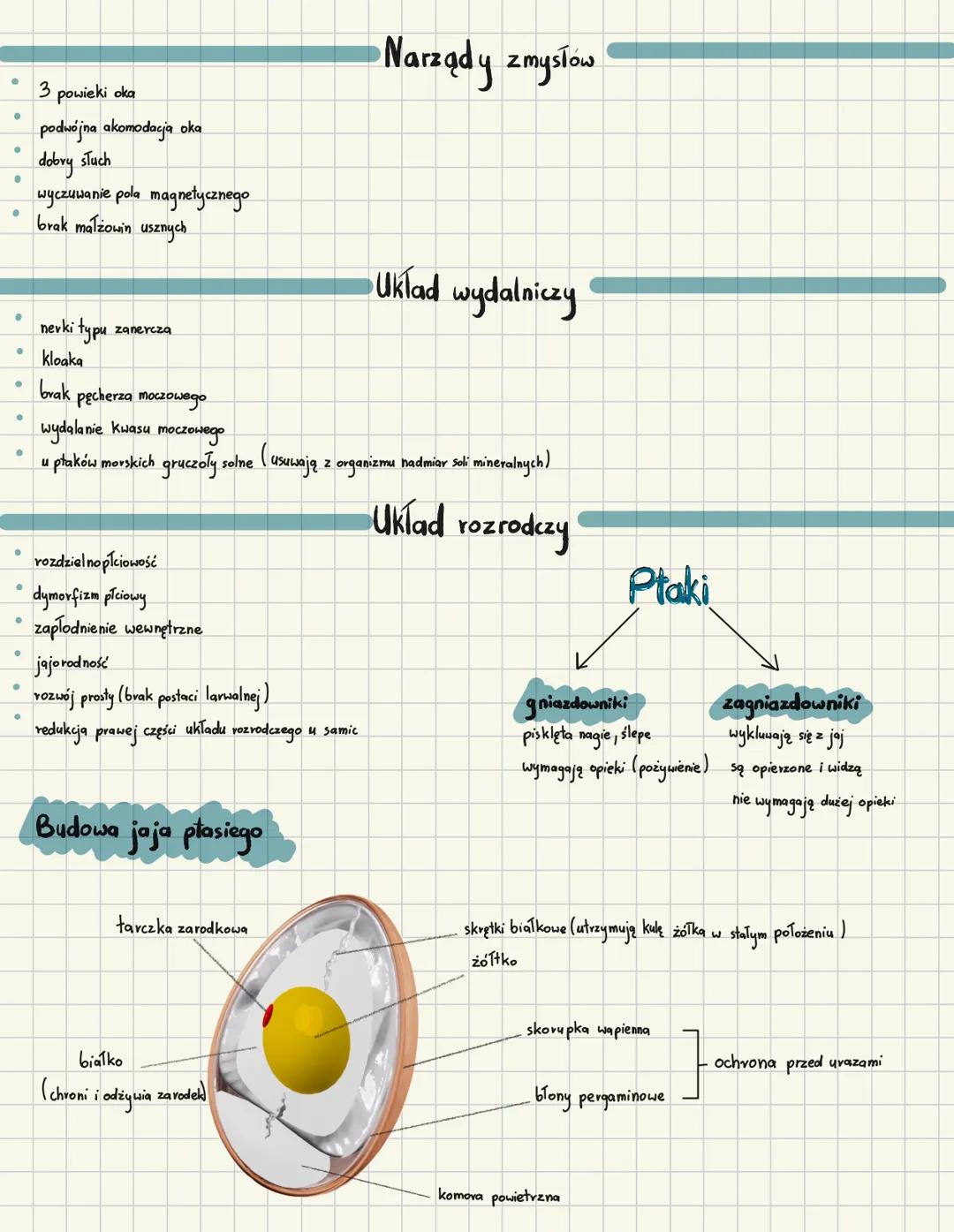 # Ptaki
## Cechy charakterystyczne
- owodniowce
- pierwotnie lądowe
- stałocieplne
- skóra pokryta piórami
- jajowodne
## Pokrycie ciała