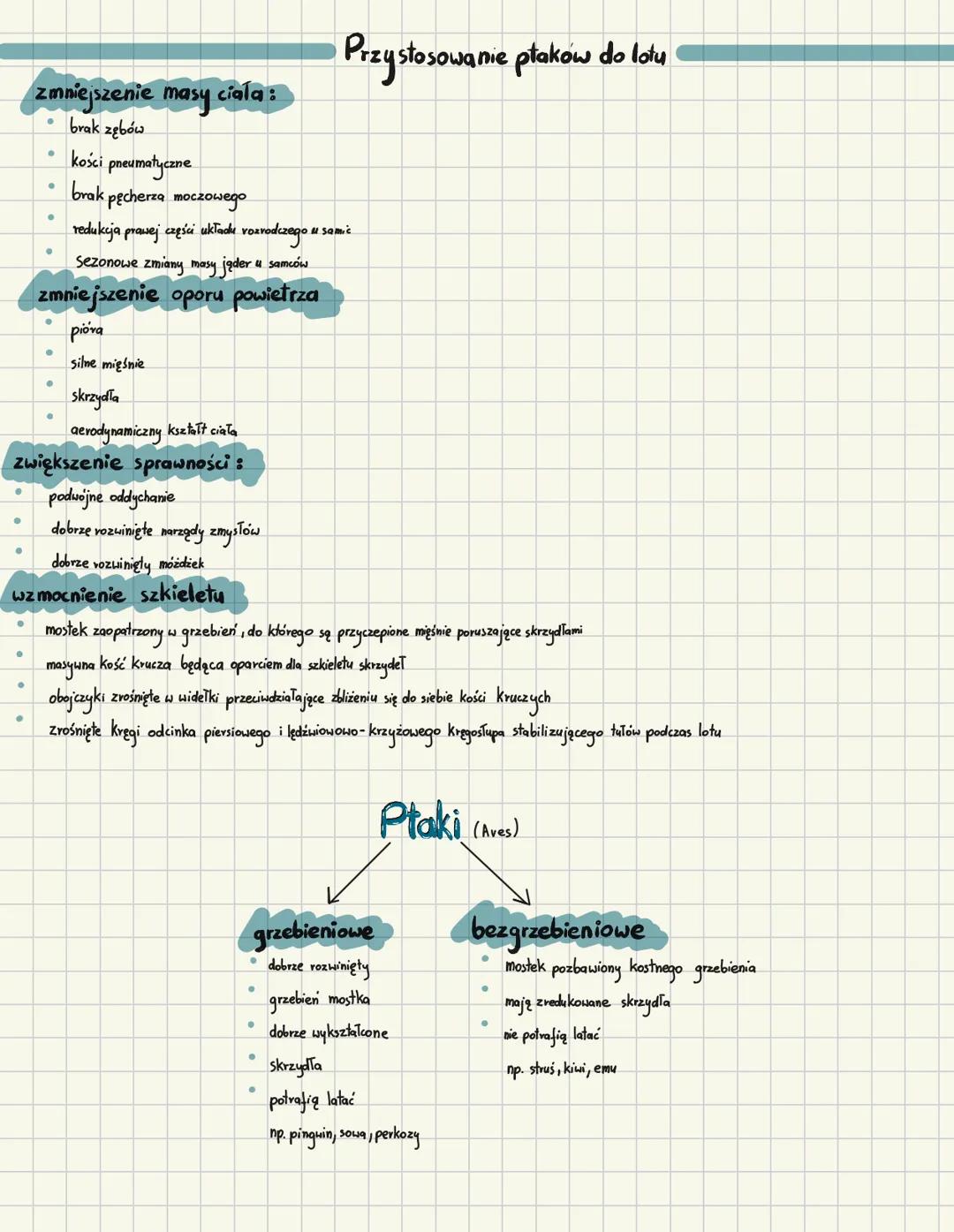 # Ptaki
## Cechy charakterystyczne
- owodniowce
- pierwotnie lądowe
- stałocieplne
- skóra pokryta piórami
- jajowodne
## Pokrycie ciała