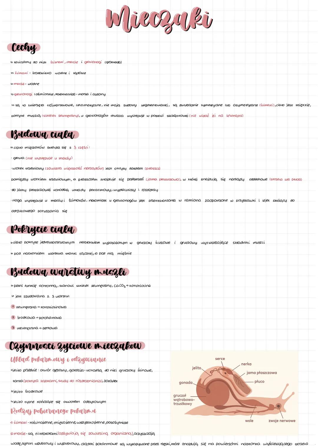 ## Mieczaki
### Cechy
- są zaliczamy do nich ślimaki, małże i głowonogi (głównie)
- ślimaki - środowisko wodne i lądowe
- małże - wodne
- g