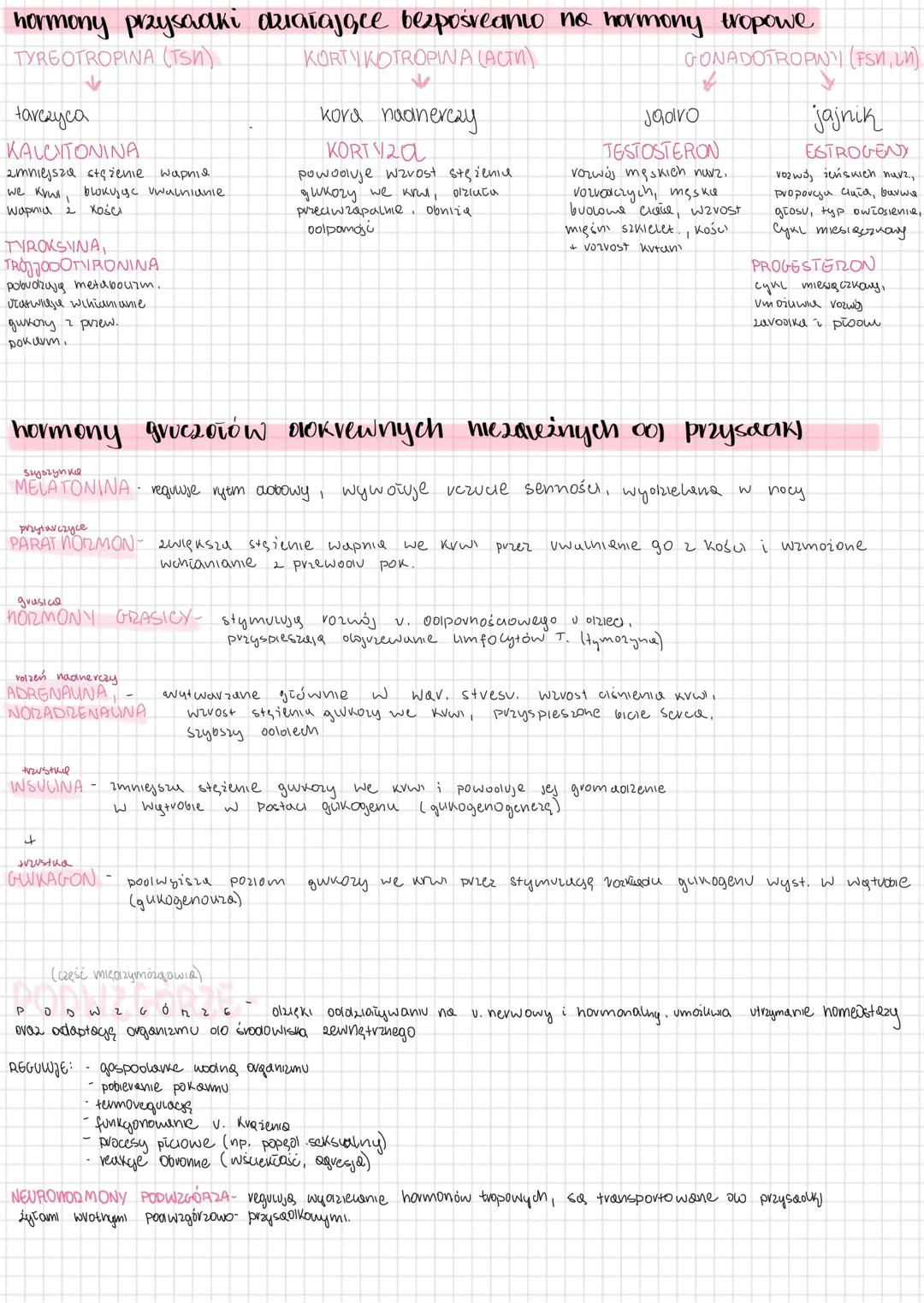 10.1- układ hormonalny u zwierząt
Kontroluje i koordynuje działanie różnych narządów ciała poprzez
wydzielanie substancji chemicznych (horm