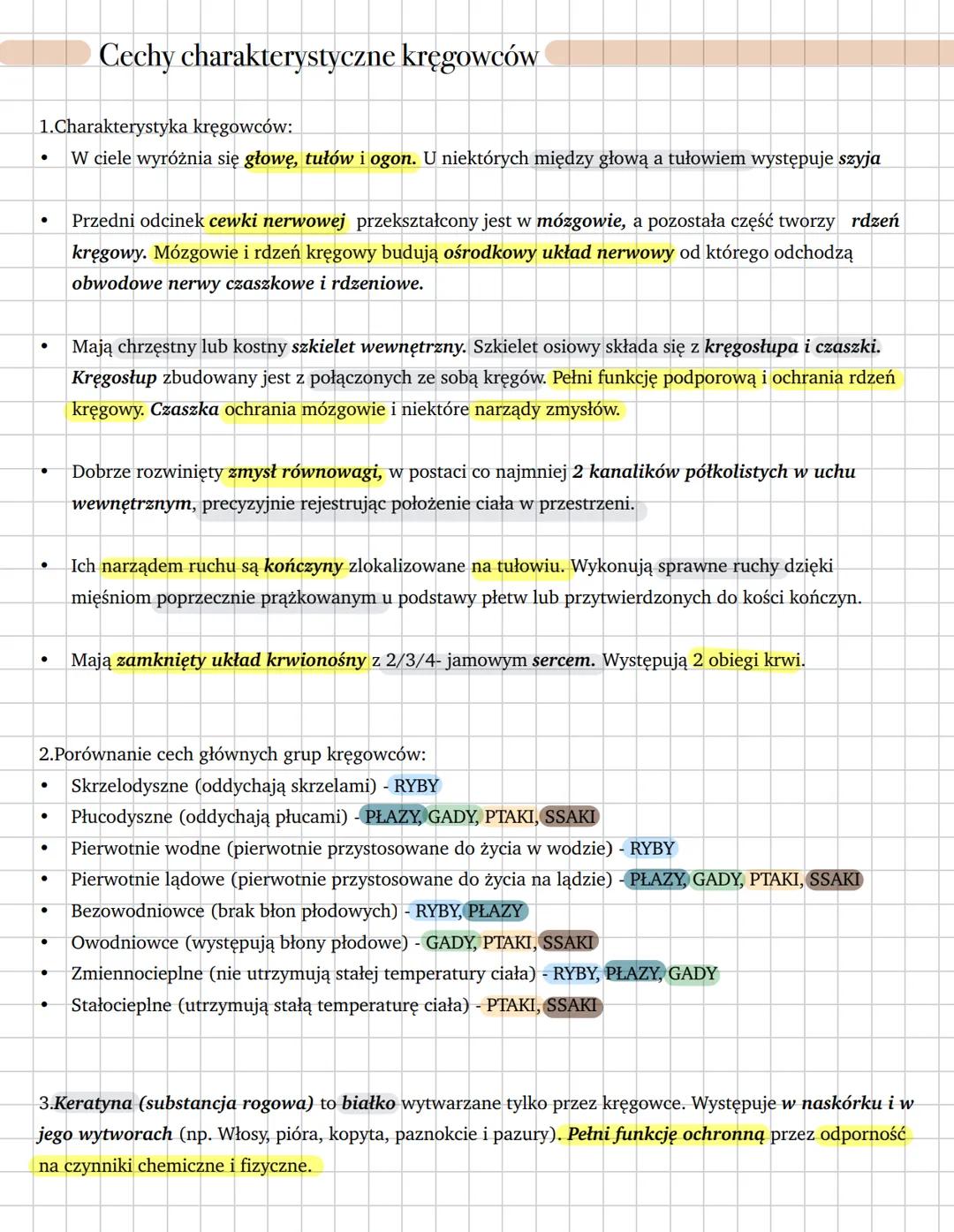 Cechy charakterystyczne kręgowców
1.Charakterystyka kręgowców:
- W ciele wyróżnia się głowę, tułów i ogon. U niektórych między głową a tułow