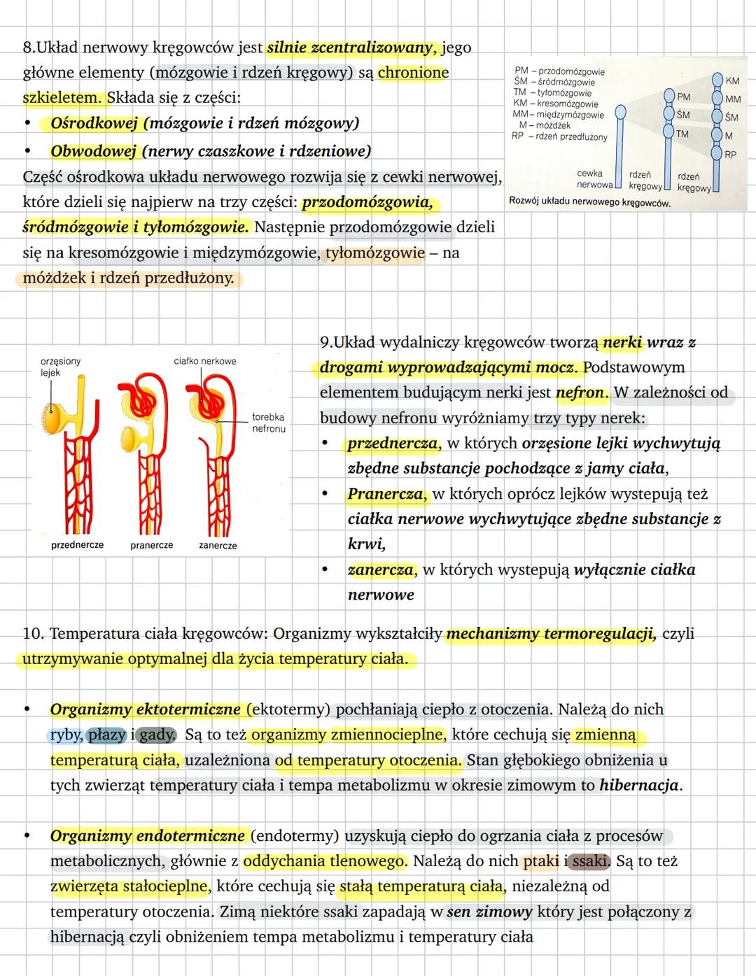 Cechy charakterystyczne kręgowców
1.Charakterystyka kręgowców:
- W ciele wyróżnia się głowę, tułów i ogon. U niektórych między głową a tułow