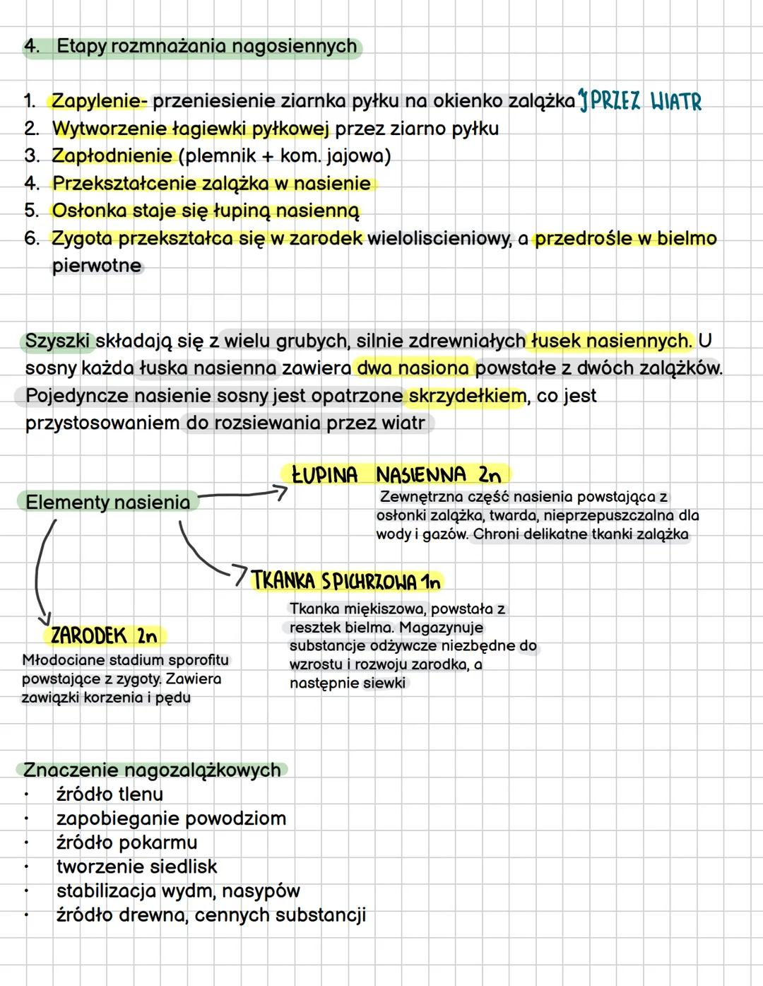 ROSLINY NAGONASIENNE/NAGOZALAZKOWE
Cechy roślin nasiennych
- wytwarzanie nasion
- są organowcami
- są roślinami naczyniowymi (mają drewno)