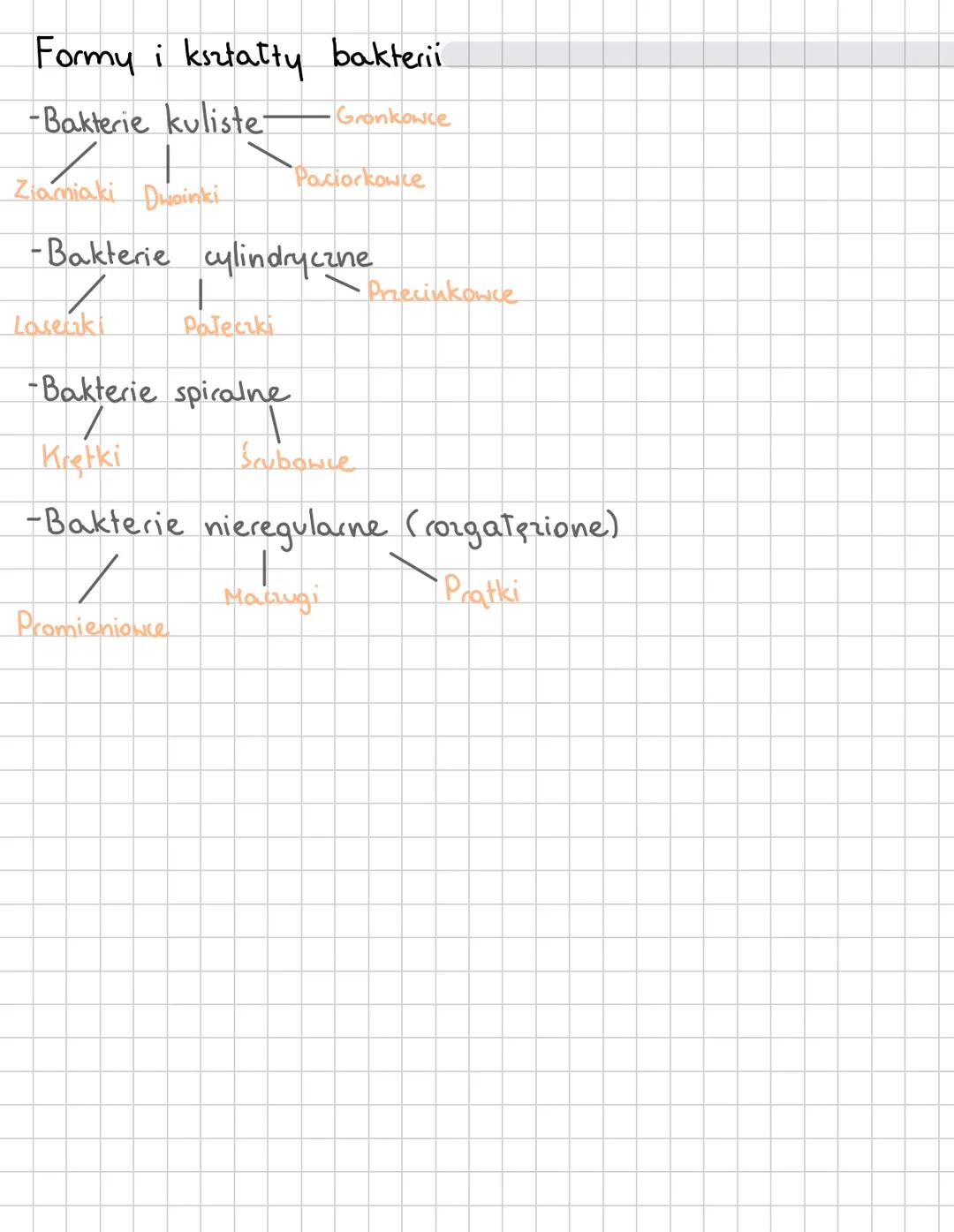 Bakterie
Organizm prokariontyczny - brak jadra komórkowego (wspólna cecha bakteri i archeowców)
MEZOSOM
(WPUKLENIE
BŁONY)
RYBOSOMY 70S
MATER