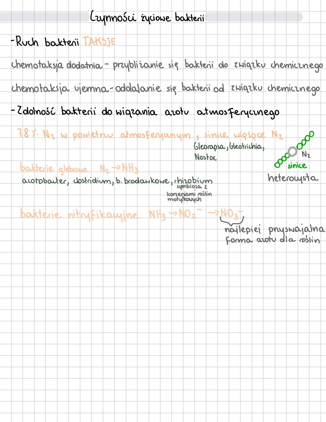 Bakterie
Organizm prokariontyczny - brak jadra komórkowego (wspólna cecha bakteri i archeowców)
MEZOSOM
(WPUKLENIE
BŁONY)
RYBOSOMY 70S
MATER