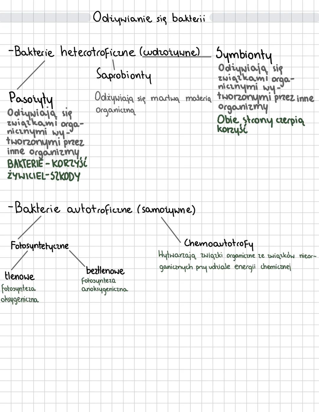 Bakterie
Organizm prokariontyczny - brak jadra komórkowego (wspólna cecha bakteri i archeowców)
MEZOSOM
(WPUKLENIE
BŁONY)
RYBOSOMY 70S
MATER