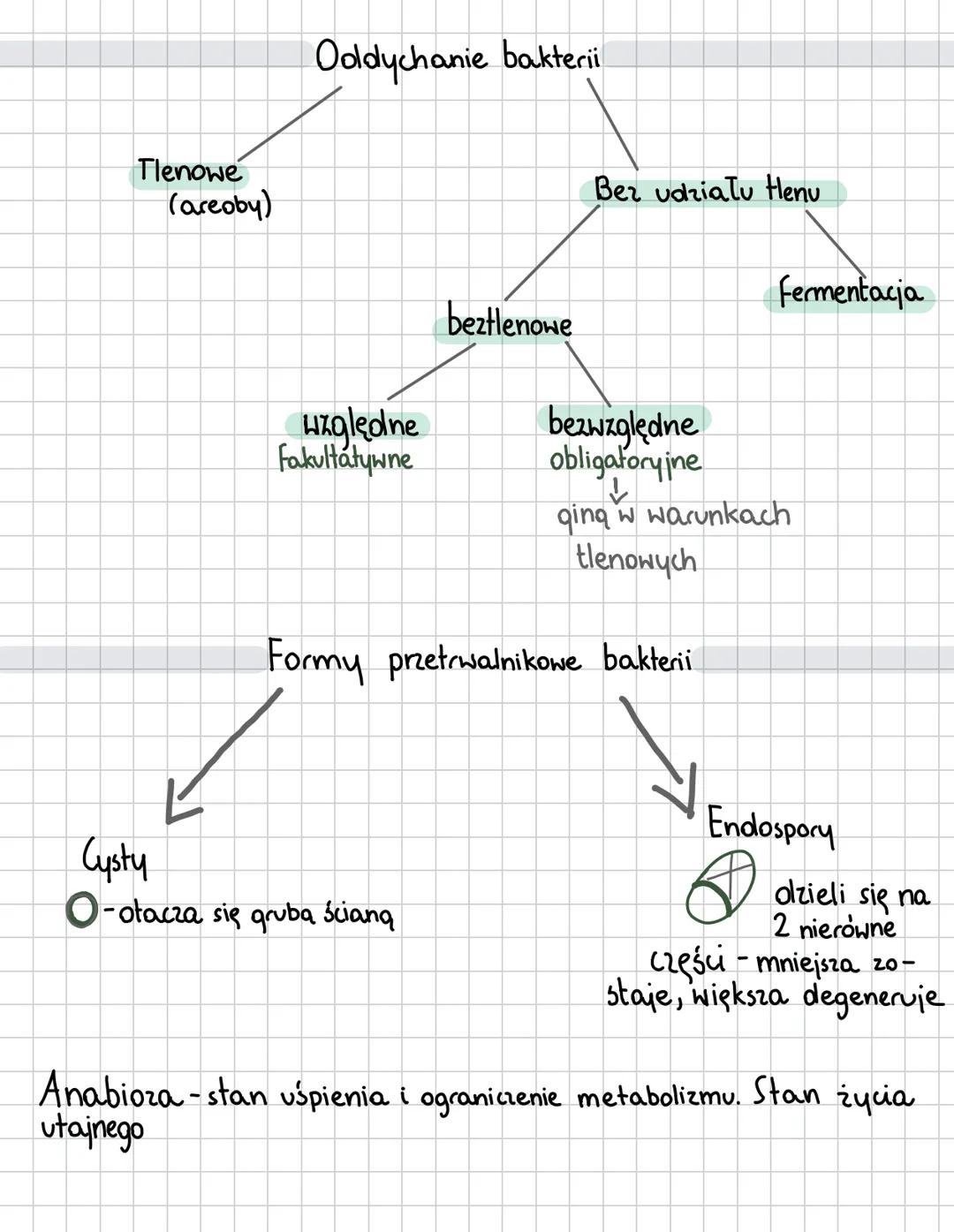 Bakterie
Organizm prokariontyczny - brak jadra komórkowego (wspólna cecha bakteri i archeowców)
MEZOSOM
(WPUKLENIE
BŁONY)
RYBOSOMY 70S
MATER