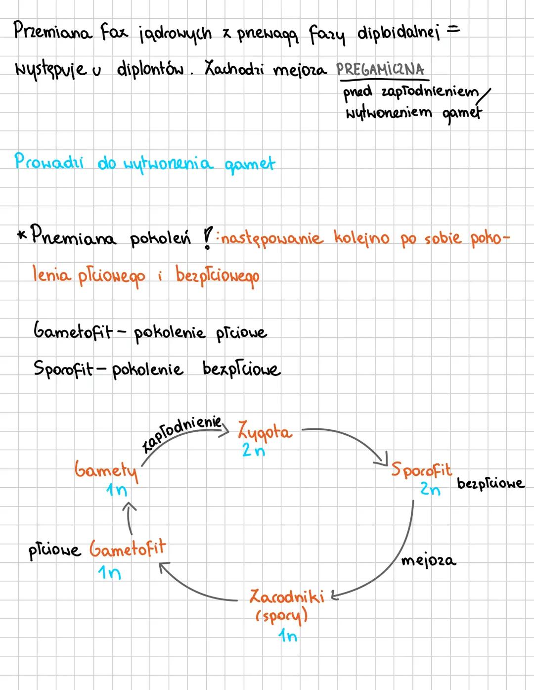 PROTISTY
* Organizmy eukariotyczne (ipdrowe), grupa parafiletyczna
*
Grupy protistów
roślinopodobne
-mają chloroplasty (3+ błony)
- autotrof