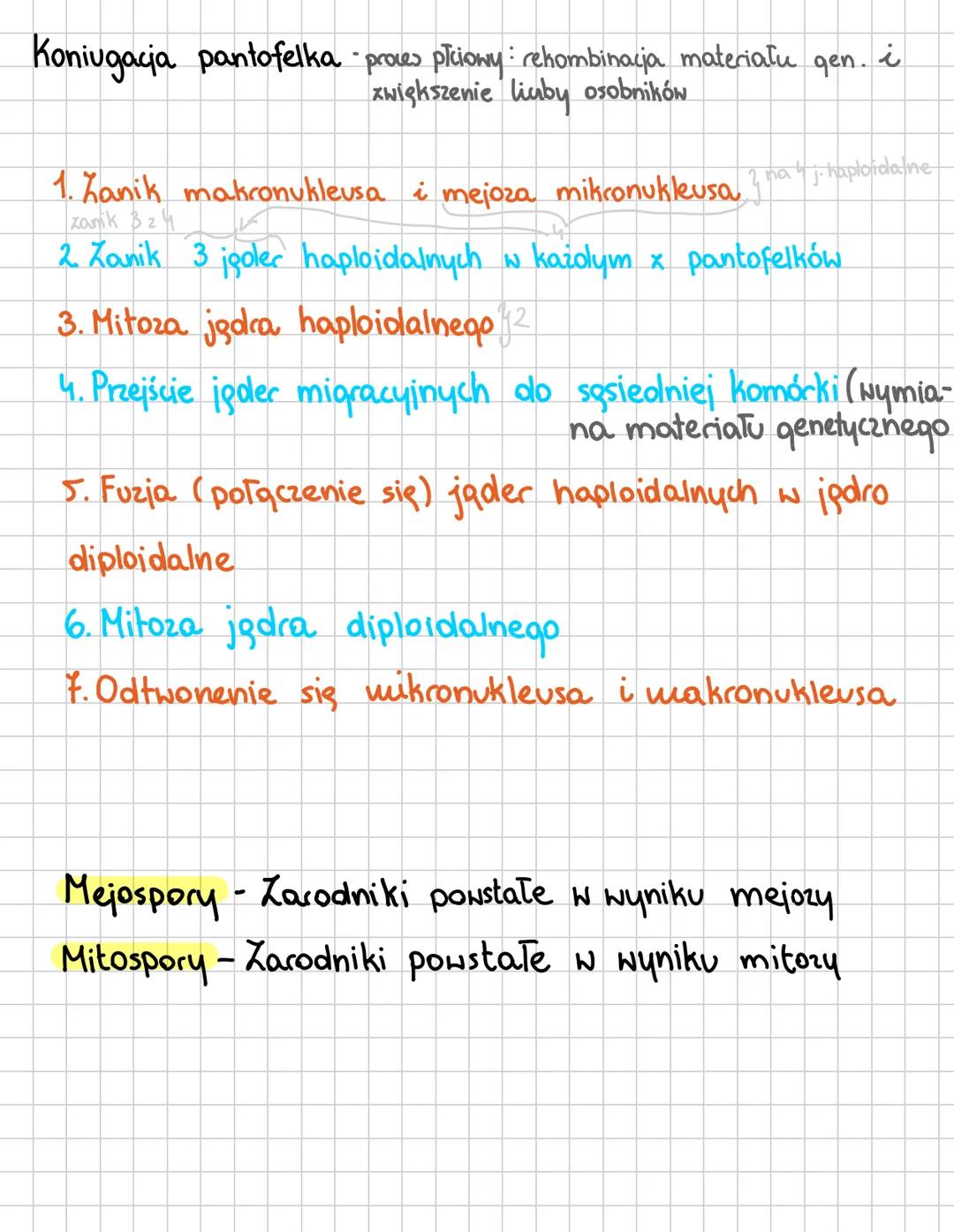 PROTISTY
* Organizmy eukariotyczne (ipdrowe), grupa parafiletyczna
*
Grupy protistów
roślinopodobne
-mają chloroplasty (3+ błony)
- autotrof