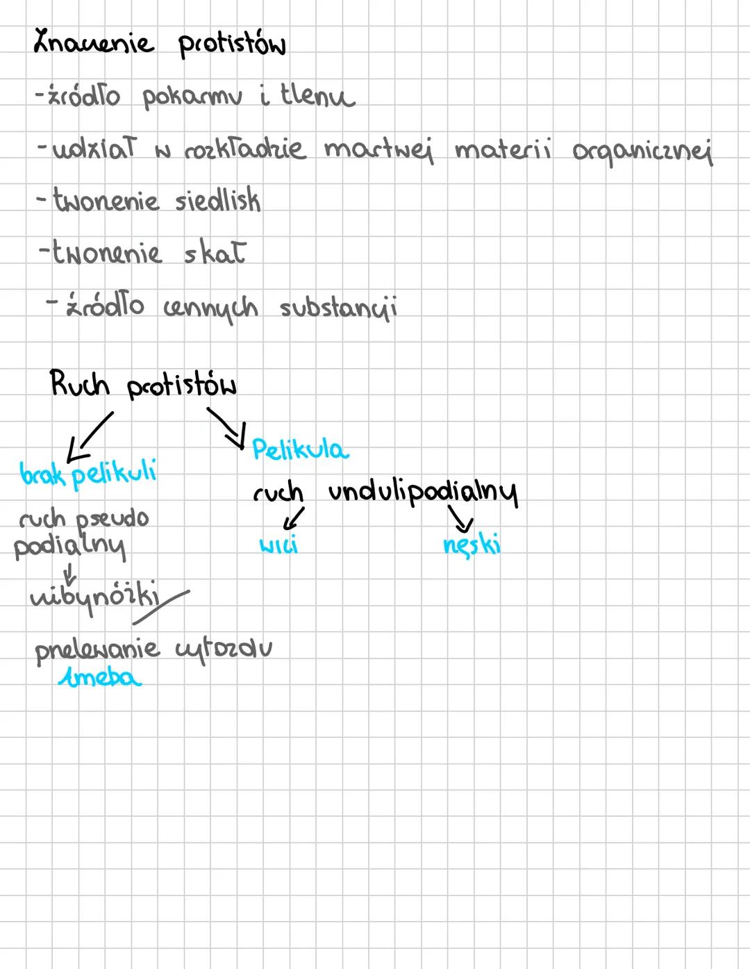 PROTISTY
* Organizmy eukariotyczne (ipdrowe), grupa parafiletyczna
*
Grupy protistów
roślinopodobne
-mają chloroplasty (3+ błony)
- autotrof