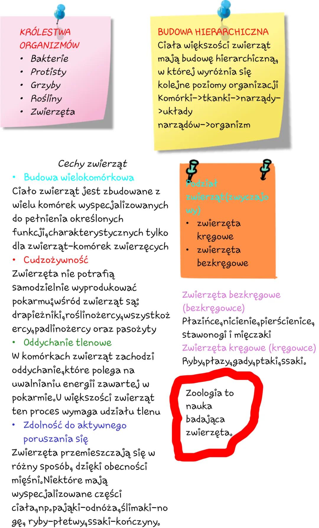 # KRÓLESTWA
# ORGANIZMÓW
- Bakterie
- Protisty
- Grzyby
- Rośliny
- Zwierzęta
# BUDOWA HIERARCHICZNA
Ciała większości zwierząt mają budowę