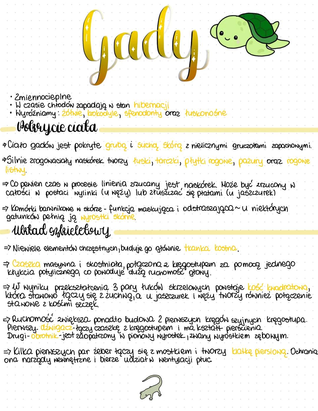 Gady
• Zmiennocieplne
• W czasie chłodów zapadają w stan hibernacji
• Wyróżniamy: żółwie, krokodyle, sfenodonty oraz tuskonośne
Pokrycie