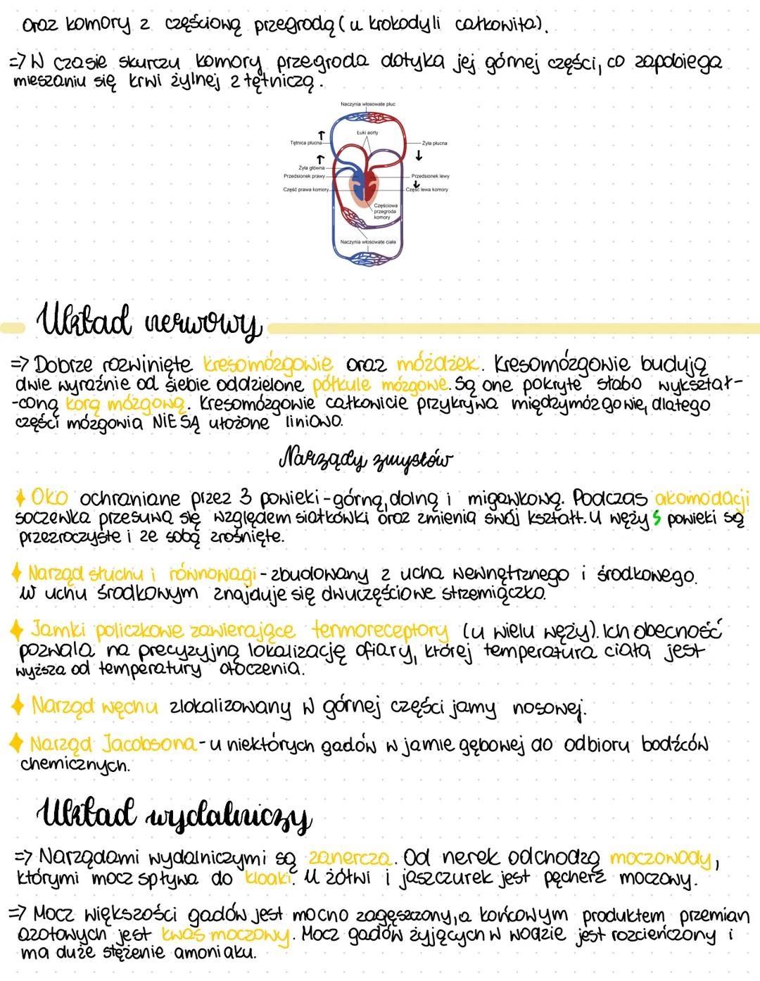 Gady
• Zmiennocieplne
• W czasie chłodów zapadają w stan hibernacji
• Wyróżniamy: żółwie, krokodyle, sfenodonty oraz tuskonośne
Pokrycie