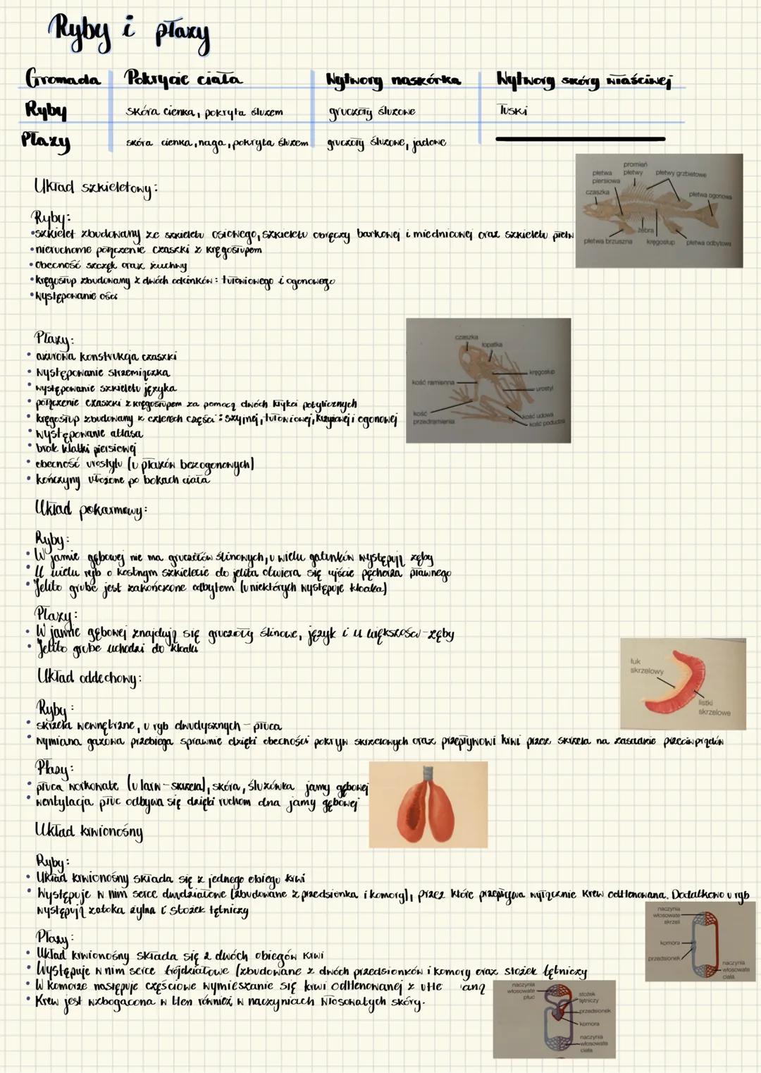 ## Ryby i płazy
### Gromada ### Pokrycie ciała ### Naskórek ### Tkanka
**Ryby** Skóra cienka, pokryta śluzem Gruczoły śluzowe
**Płazy** S