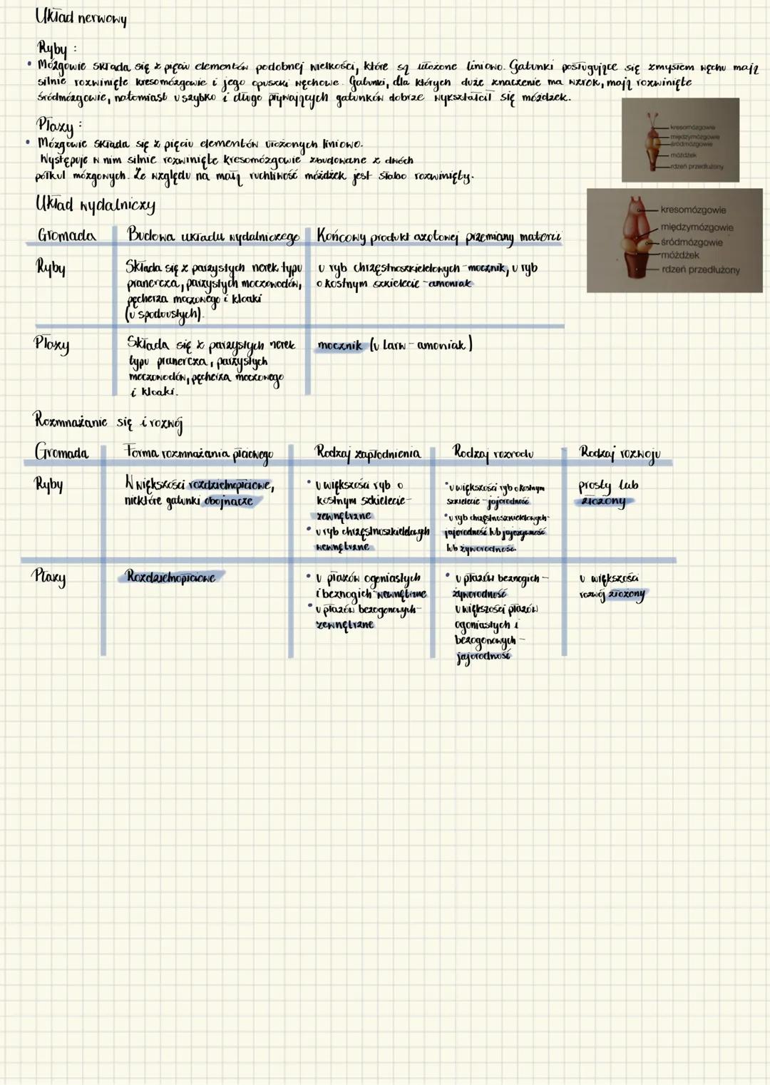 ## Ryby i płazy
### Gromada ### Pokrycie ciała ### Naskórek ### Tkanka
**Ryby** Skóra cienka, pokryta śluzem Gruczoły śluzowe
**Płazy** S