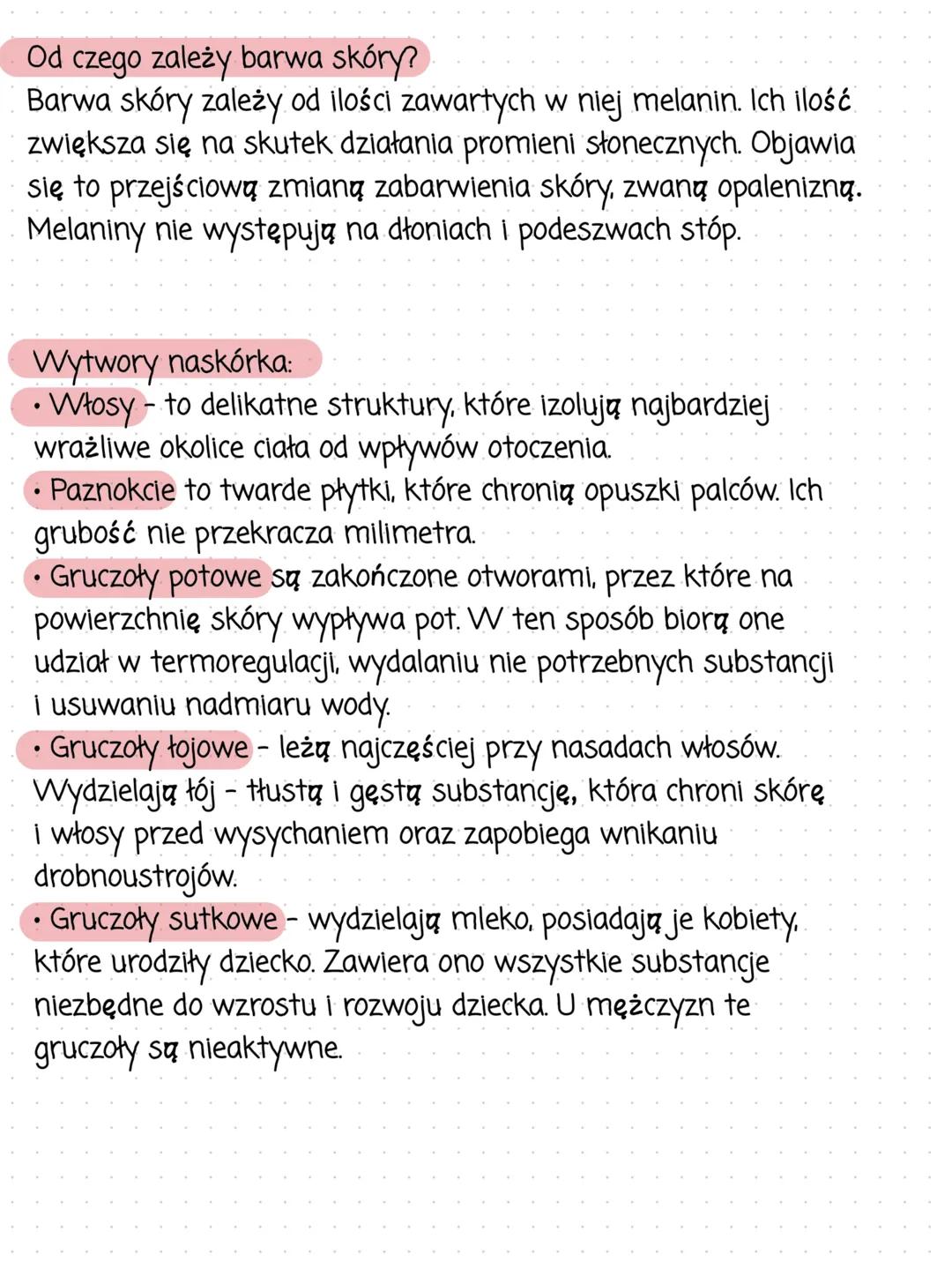 Funkcje skóry:
Budowa i funkcje skóry
• ochrona - chroni przed urazami, szkodliwymi substancjami,
drobnoustrojami chorobotwórczymi i promien