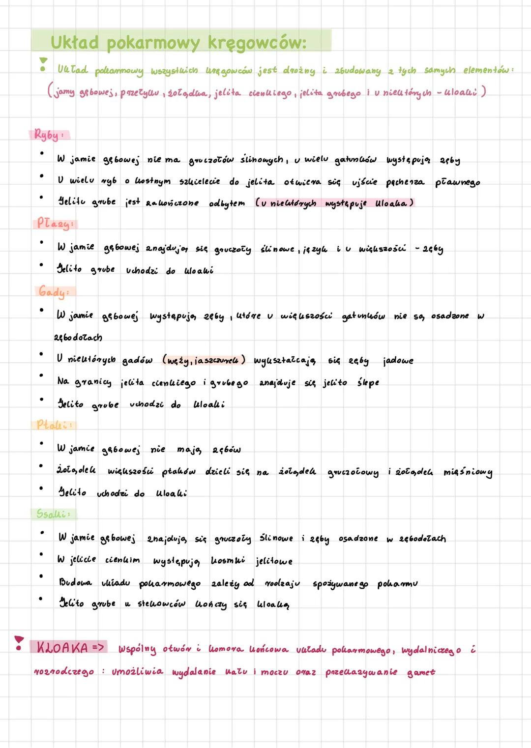 Charakterystyka strunowców:
Cechy:
=> Występuje u nich struna grzbietowa
=> Maja gardziel ze szczelinami: szparowatymi
=> Występuje u nich u