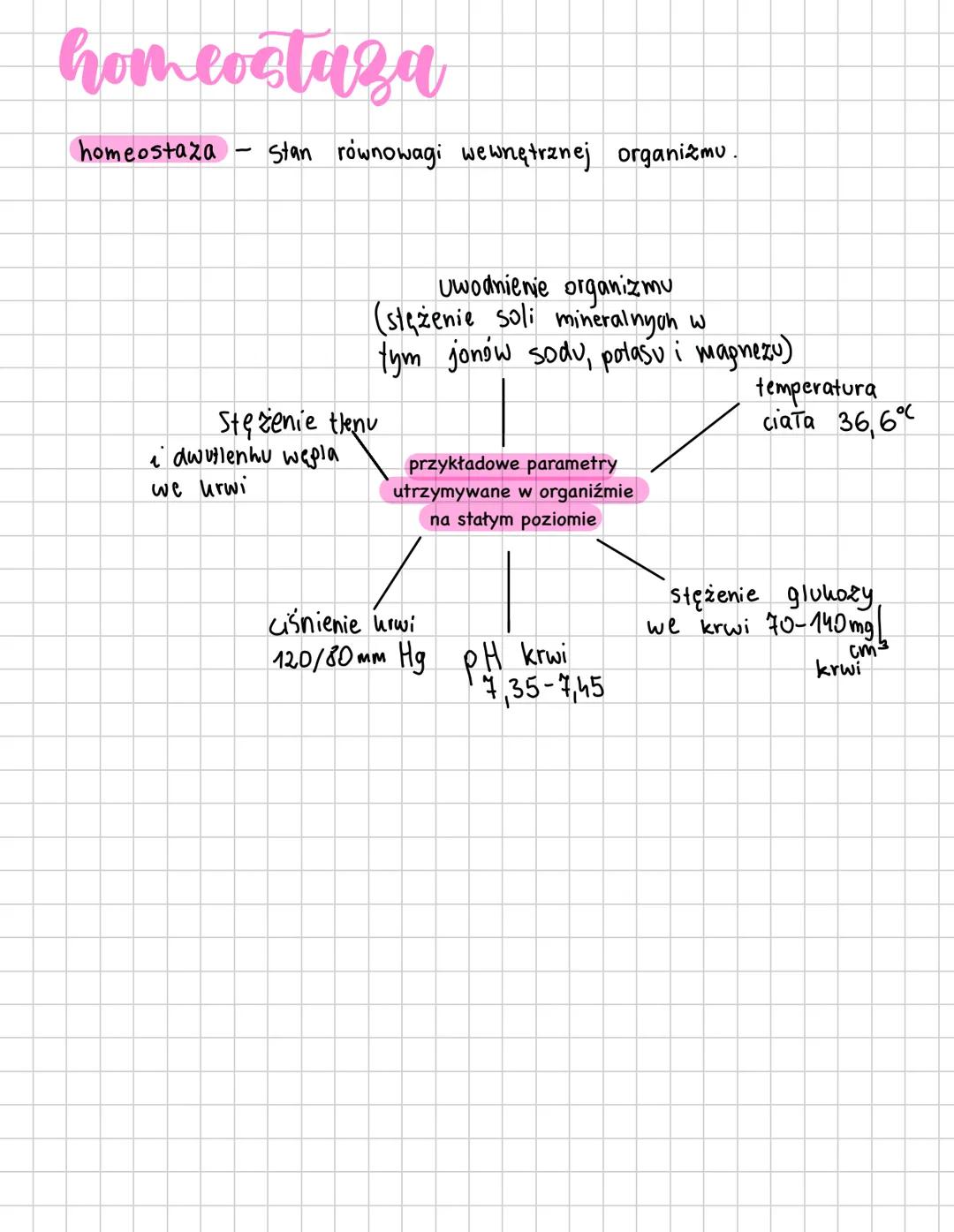 Budowa komórki zwierzęcej
błona
komórkowa
siateczka
śródplazmatyczna
aparat
Golgiego
mitochondrium
wodniczka
cytozol
jądro
komórkowe
1
2
3