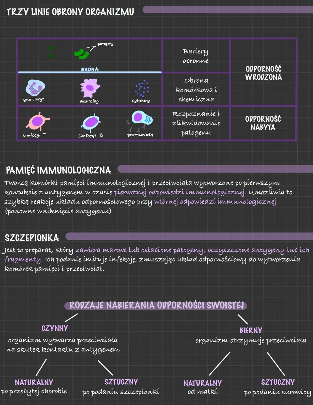 BUDOWA UKŁADU ODPORNOŚCIOWEGO
RODZAJE ODPORNOŚCI
ELEMENTY UKŁADU LIMFATYCZNEGO I ICH FUNKCJE
- NACZYNIA LIMFATYCZNE WRAZ Z LIMFĄ- transport