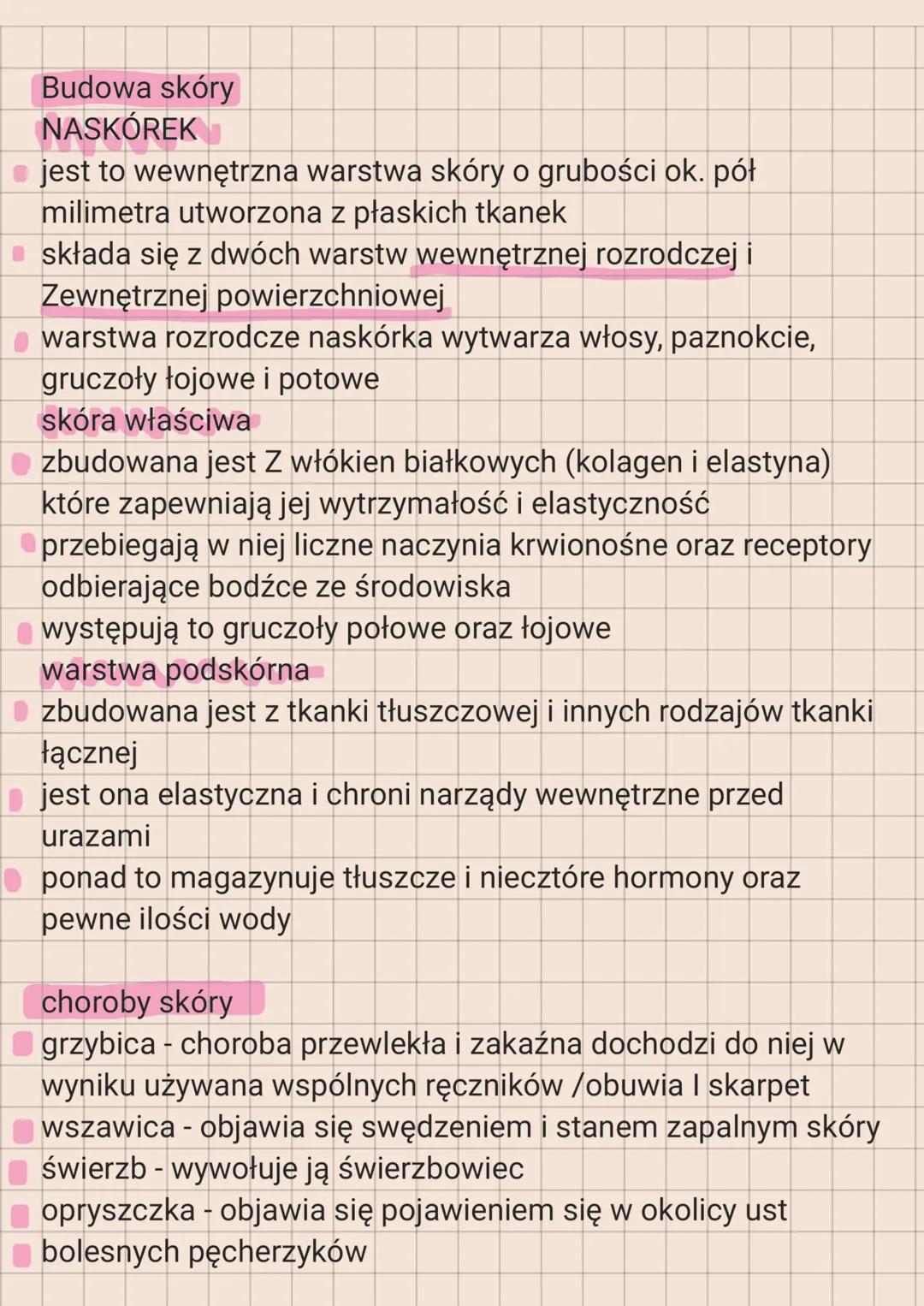 BIOLOGIA
Skóra człowieka
w organiźmie człowieka wyróżniamy kilka poziomów
organizacji
komórka - najmniejsza cząstka każdej postaci żywej
tka