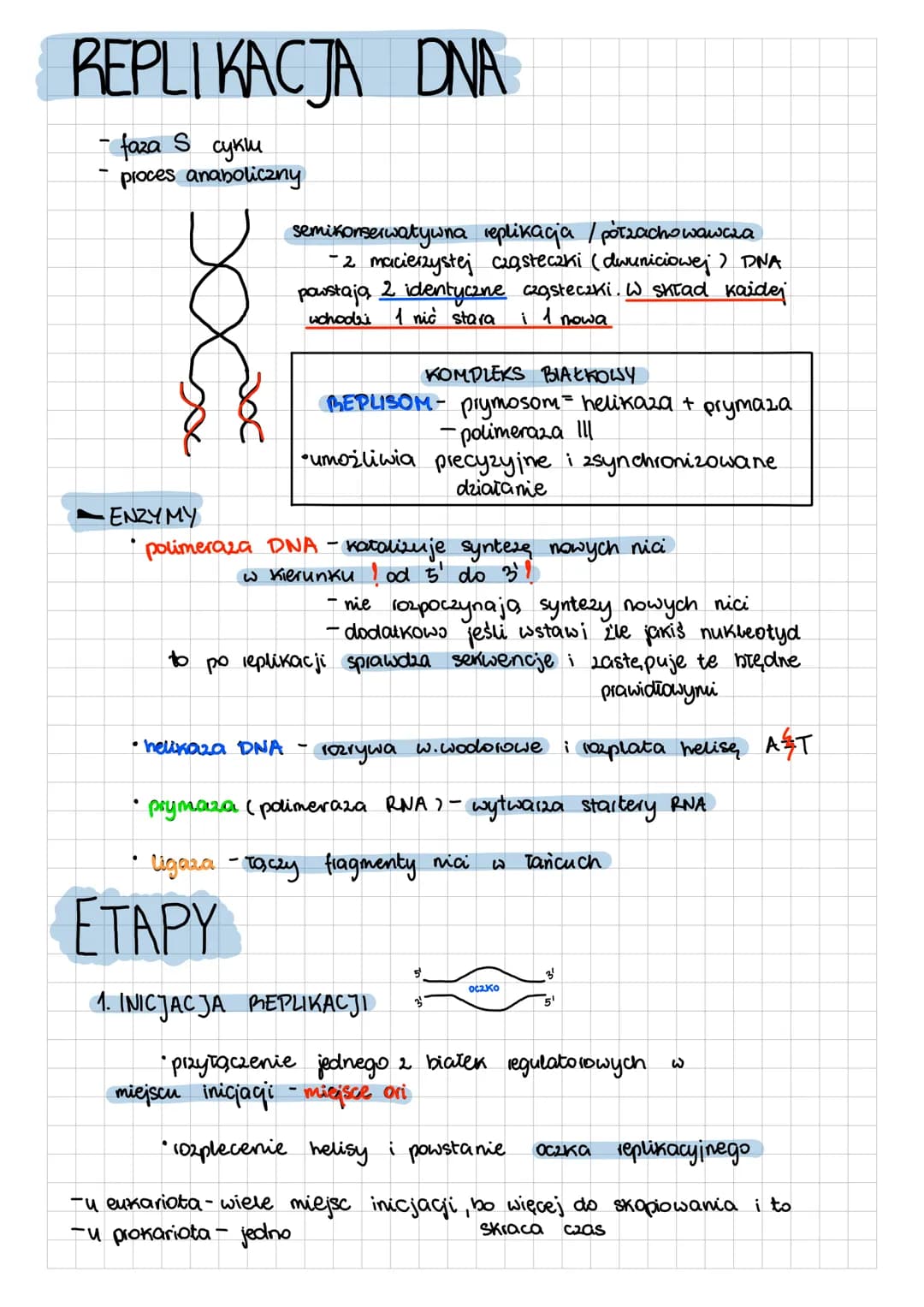 REPLIKACJA DNA
- faza S cyklu
- proces anaboliczny
semikonserwatywna replikacja / półzachowawcza
- 2 macierzystych cząsteczek (dwuniciowej)