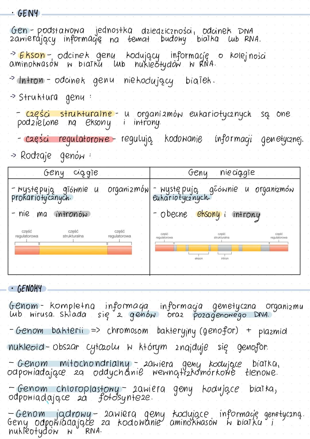 ## DNA, RNA, Geny i genomy
* DNA
Deoksyrybonukleotyd => Deoksyryboza + A - adenina + PO₄³⁻
T - tymina
C - cytozyna
G - guanina
3' nić matr