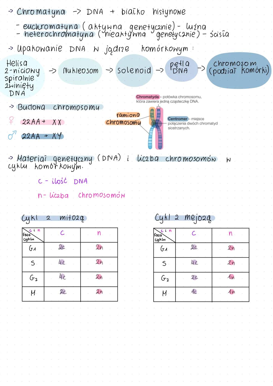 ## DNA, RNA, Geny i genomy
* DNA
Deoksyrybonukleotyd => Deoksyryboza + A - adenina + PO₄³⁻
T - tymina
C - cytozyna
G - guanina
3' nić matr