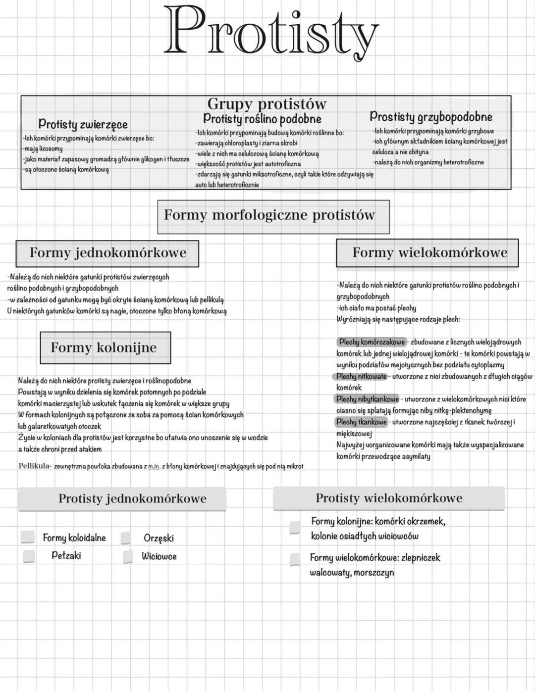 # Protisty
Protisty zwierzęce
-lch komórki przypominają komórki zwierzęce bo:
-mają lizosomy
-Jako materiał zapasowy gromadzą głównie gliko