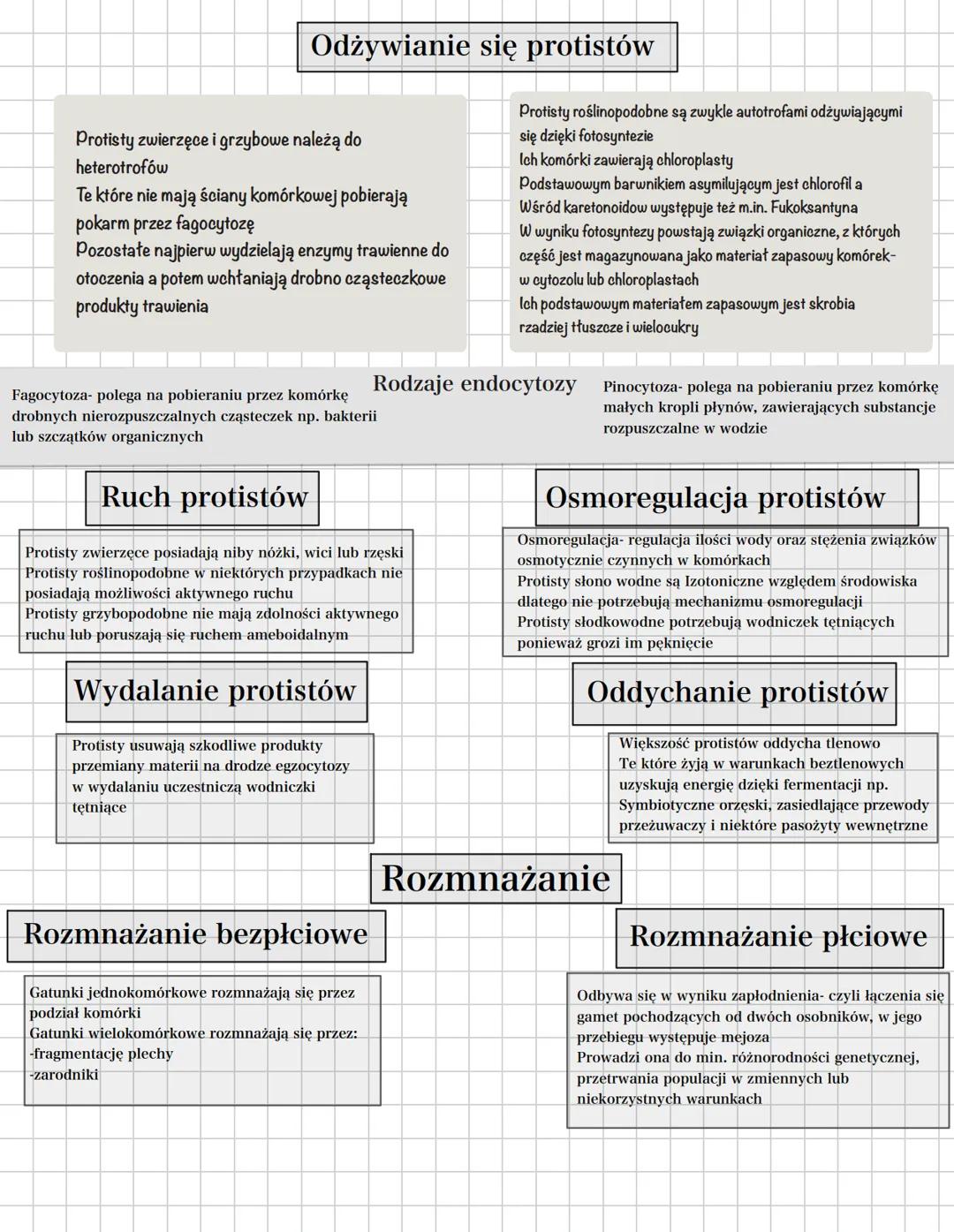 # Protisty
Protisty zwierzęce
-lch komórki przypominają komórki zwierzęce bo:
-mają lizosomy
-Jako materiał zapasowy gromadzą głównie gliko