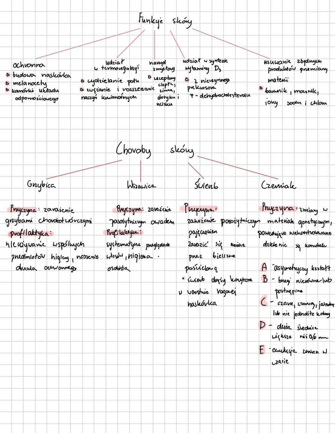 # Budowa skóry
1. naskórek
nabłench wielowarstwowy
płaski rogowaciejquy.
Jego komórki twong duie wyraźne warsty
Powierzchniową, zrogamaxia
