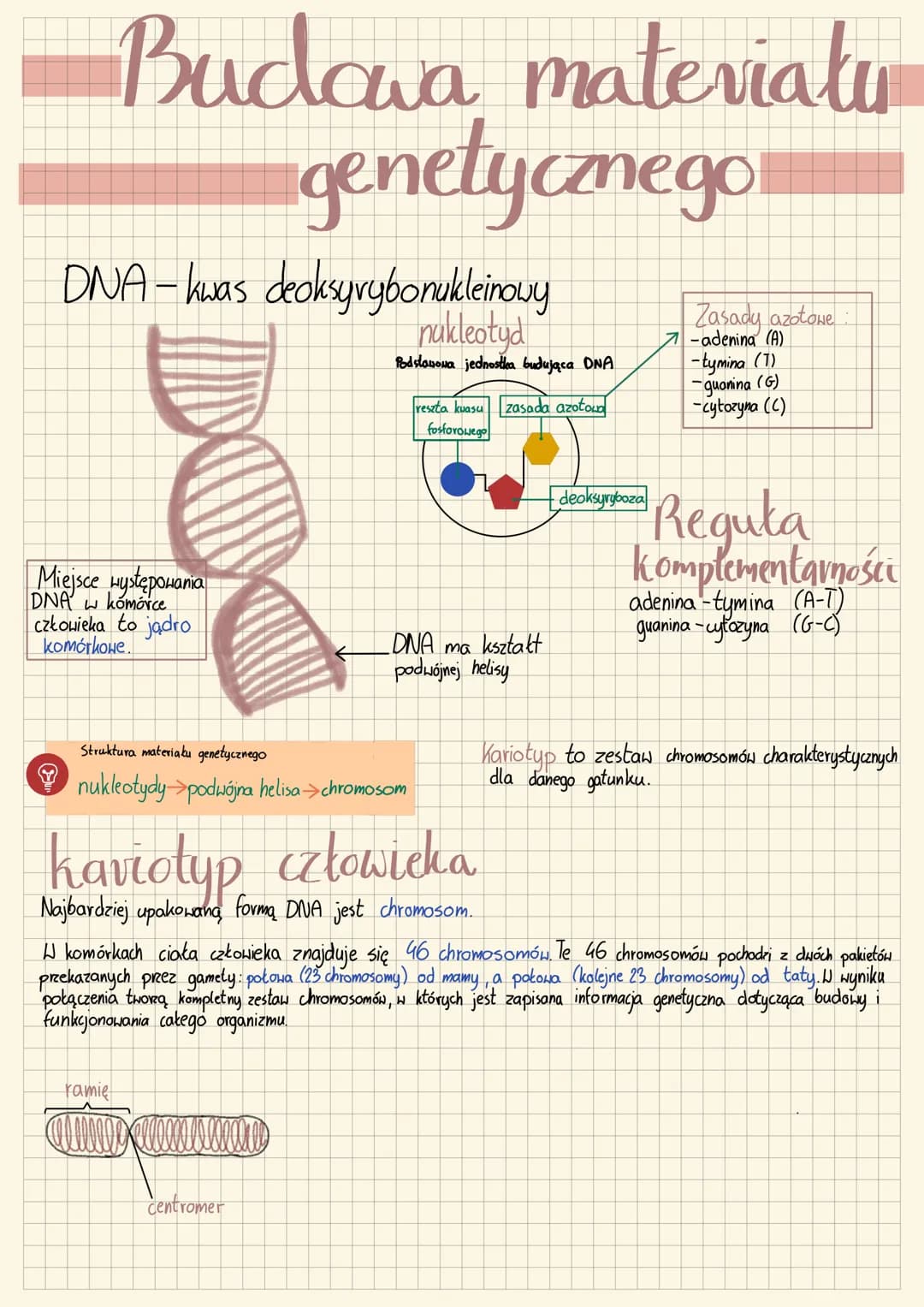 Starnote # Budowa materiały
genetycznego
DNA-kwas deoksyrybonukleinowy
nukleotyd
Podstawowa jednostka budująca DNA
reszta kuasu zasada az