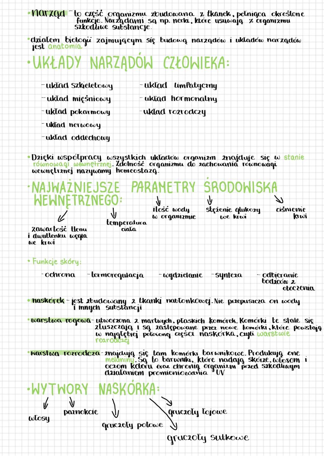 Biologia dział 1
•hierarchiczna budowa ciała człowieka
1. komórka
2. tkanka
3. narządy
4. układy narządów
5. organizm
• Rodzaje tkanek: