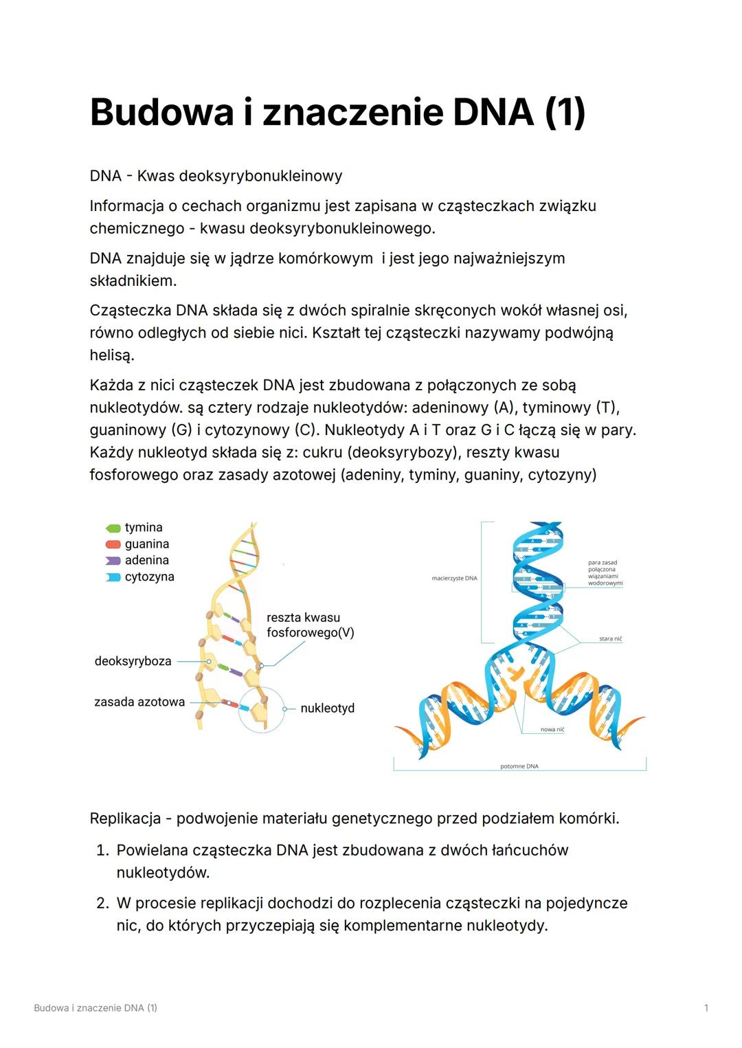 # Budowa i znaczenie DNA (1)
DNA - Kwas deoksyrybonukleinowy
Informacja o cechach organizmu jest zapisana w cząsteczkach związku
chemiczne