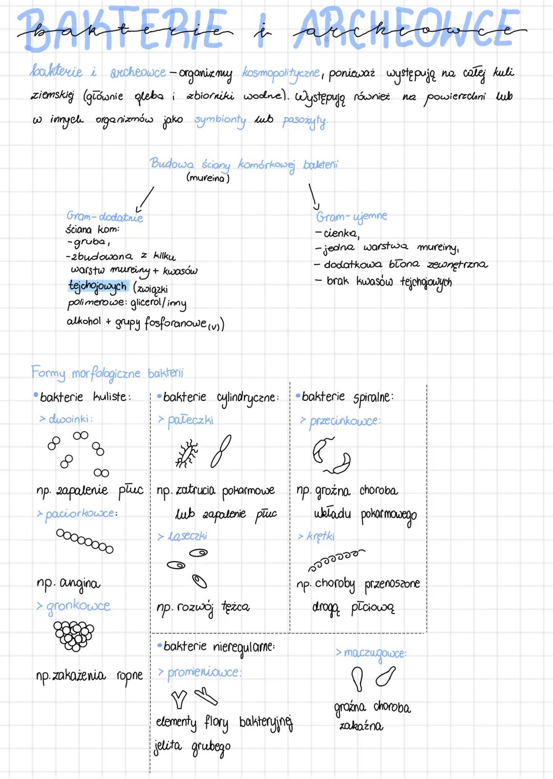 # BAKTERIE & ARCHEONCE
bakterie i archeowce-organizmy kosmopolityczne, ponieważ występują na całej kuli
ziemskiej (głównie gleba i zbiornik