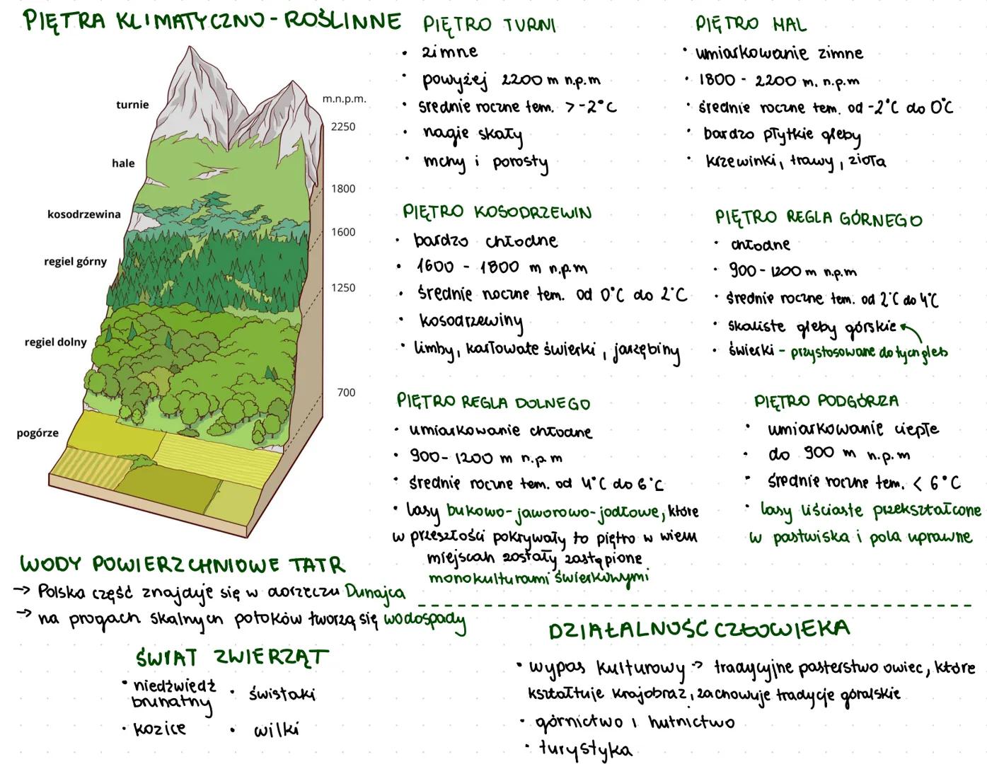 # ZRÓŻNI COWANIE SRODOWISKA TATR
POŁOŻENIE
- środkowa część Karpat Zachocenich.
- od południa graniczą z Obniżeniem Liptowsko - Spiskim