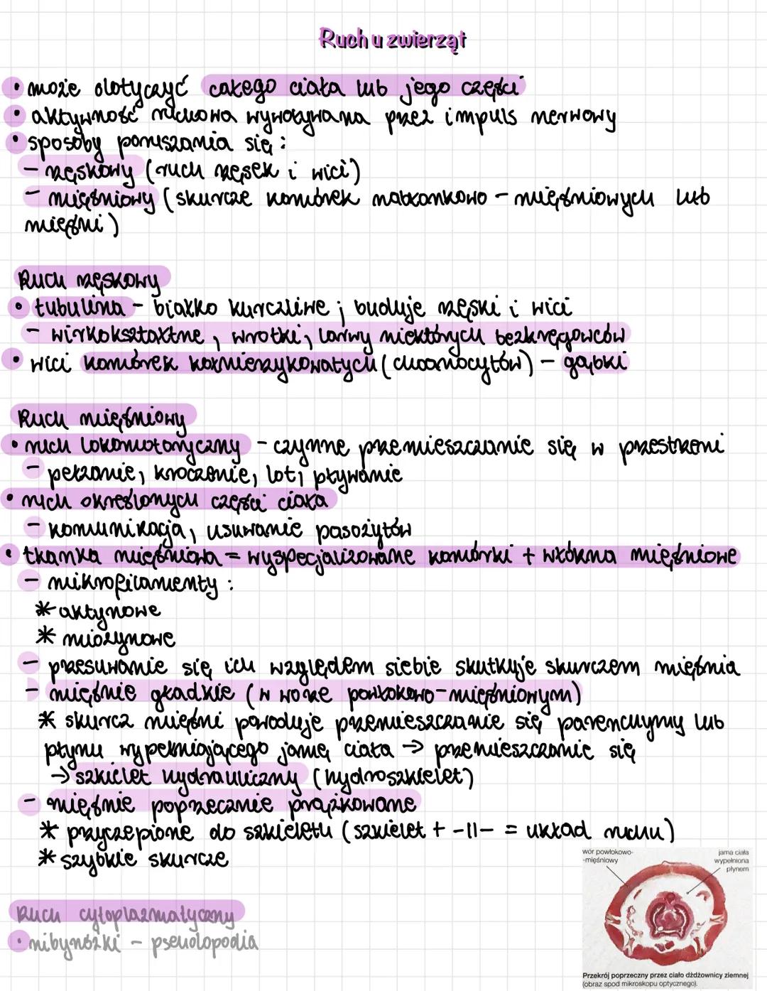 # Ruch u zwierząt
* może olotyczyć całego ciała lub jego części
* актунповж піскона пуновунака риел impuls nerwowy
* sposoby poniszan