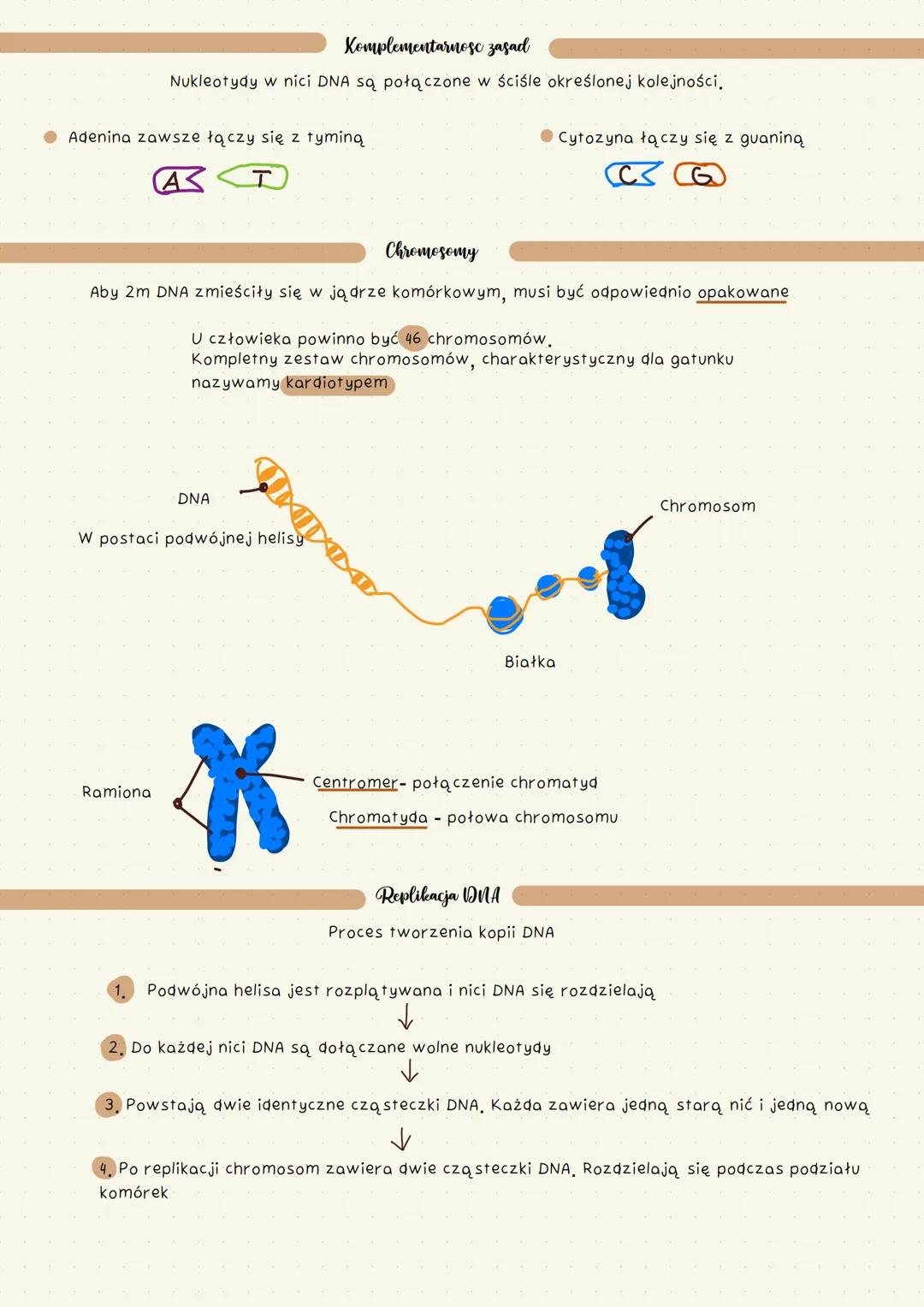 # DNA
NOSNIK informacji genetycznej
Aesthetic Notatka z klasy 8 na 6 🎀 # Nosnik informacji genetycznej - dna
Zapis wszystkich cech dzied