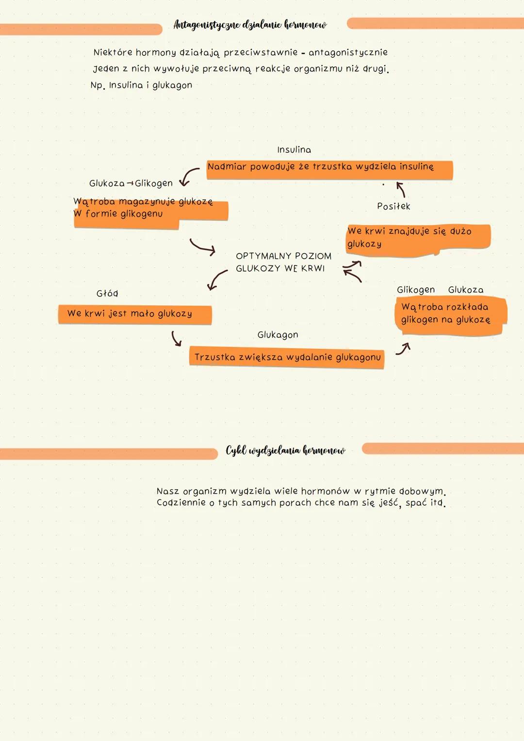 # Regulacja
# nerwowo
# hormonalna
# Klasa 7 # Budowa i funkcjonowanie
# Ukladu hormonalnego
Układ hormonalny jest zbudowany z gruczołów