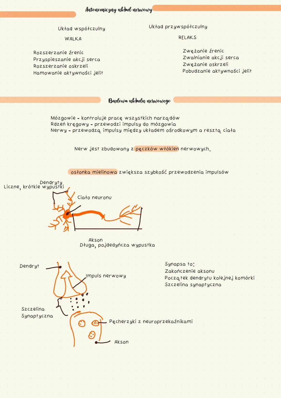 # Regulacja
# nerwowo
# hormonalna
# Klasa 7 # Budowa i funkcjonowanie
# Ukladu hormonalnego
Układ hormonalny jest zbudowany z gruczołów