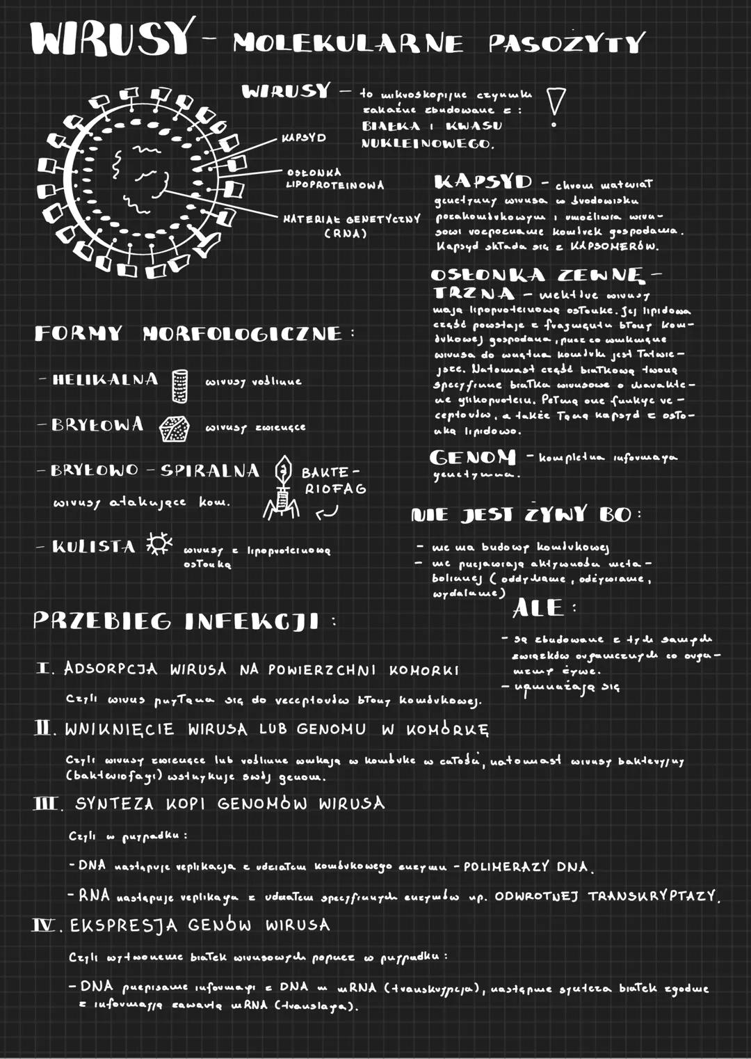 # WIRUSY - MOLEKULARNE PASOZYTY
a
# WIRUSY
* to mikroskopijue czynши
* zakazue zbudowane &
* BIAŁKA KWASU
* NUKLEINOWEGO,
KAPSYD