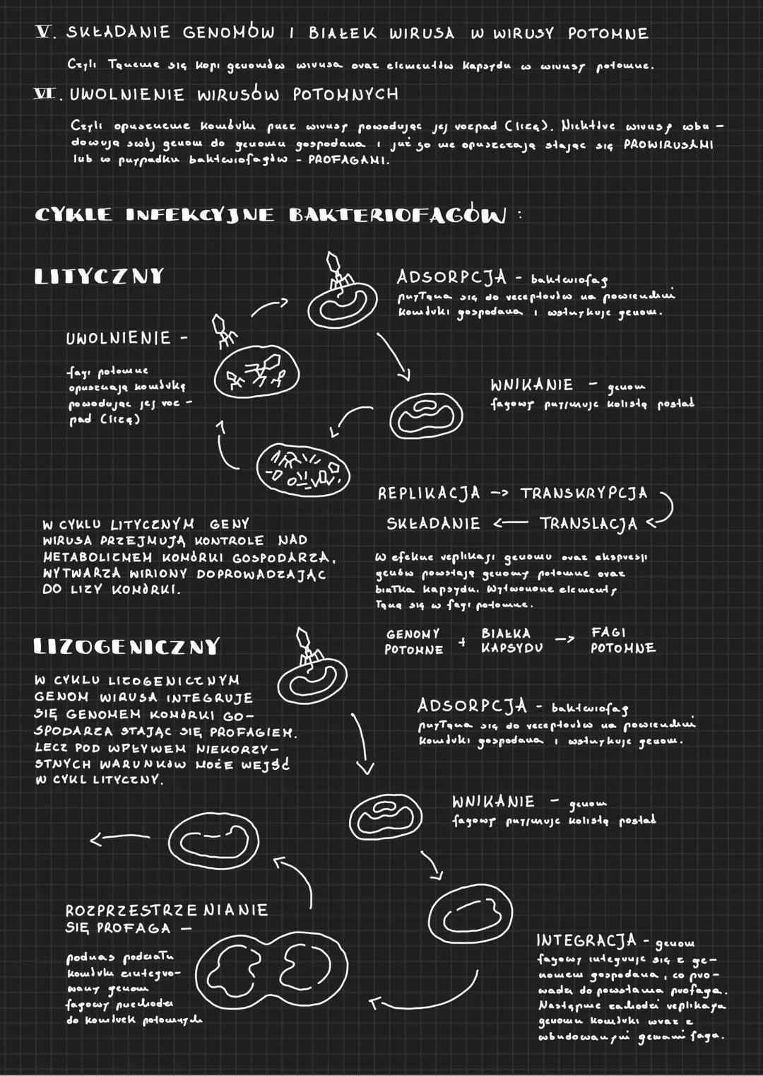 # WIRUSY - MOLEKULARNE PASOZYTY
a
# WIRUSY
* to mikroskopijue czynши
* zakazue zbudowane &
* BIAŁKA KWASU
* NUKLEINOWEGO,
KAPSYD