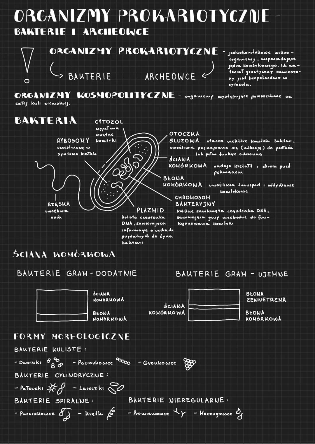 # ORGANIZMY PROKARIOTYCZNE
BAKTERIE I ARCHEOWCE
O
ORGANIZMY PROKARIOTYCZNE
BAKTERIE
ARCHEOWCE
ل
Jednokomdukowe wikuo
отдашчшу, шеposiadając